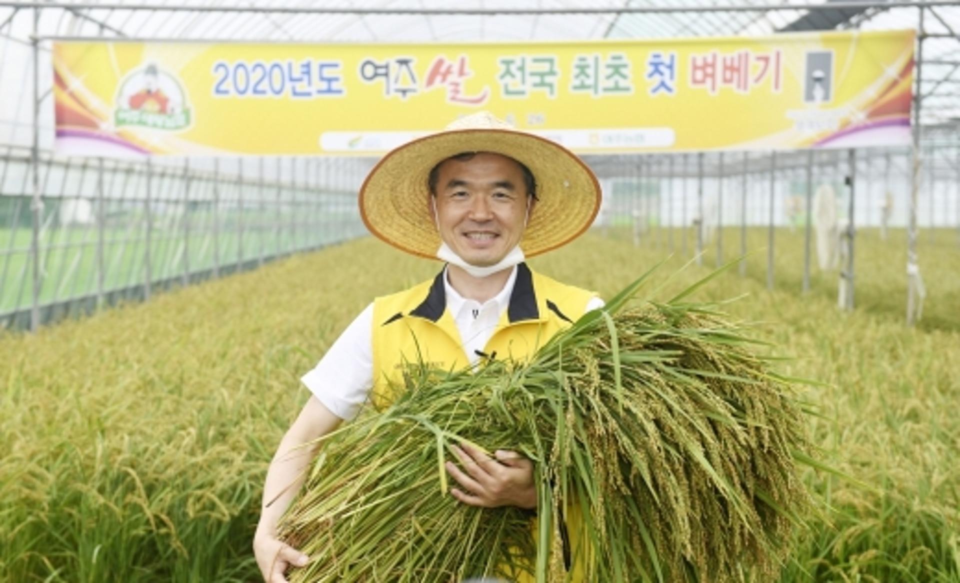 여주서 전국 첫 벼 수학…"대왕님표 여주쌀 드세요"