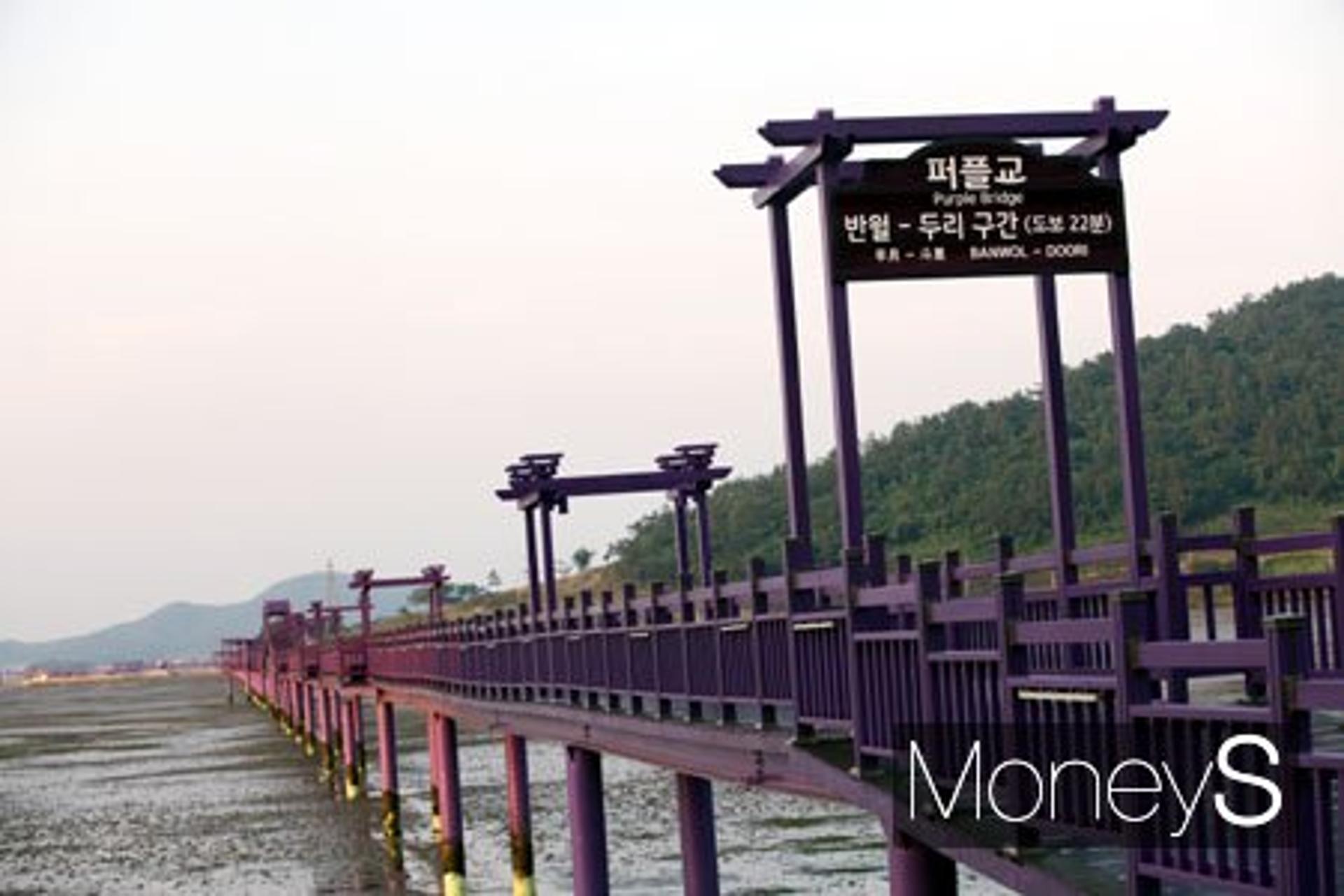 전남도, 휴가철 찾고 싶은 33섬 중 '반월·박지도' 등 16곳 선정