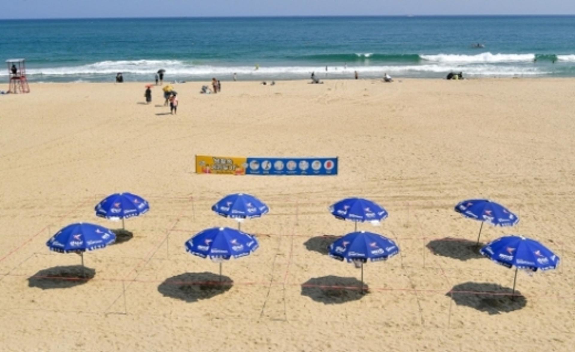 해운대해수욕장 '코로나19 비상!'… 파라솔 2m 간격, 하루 3번 방역