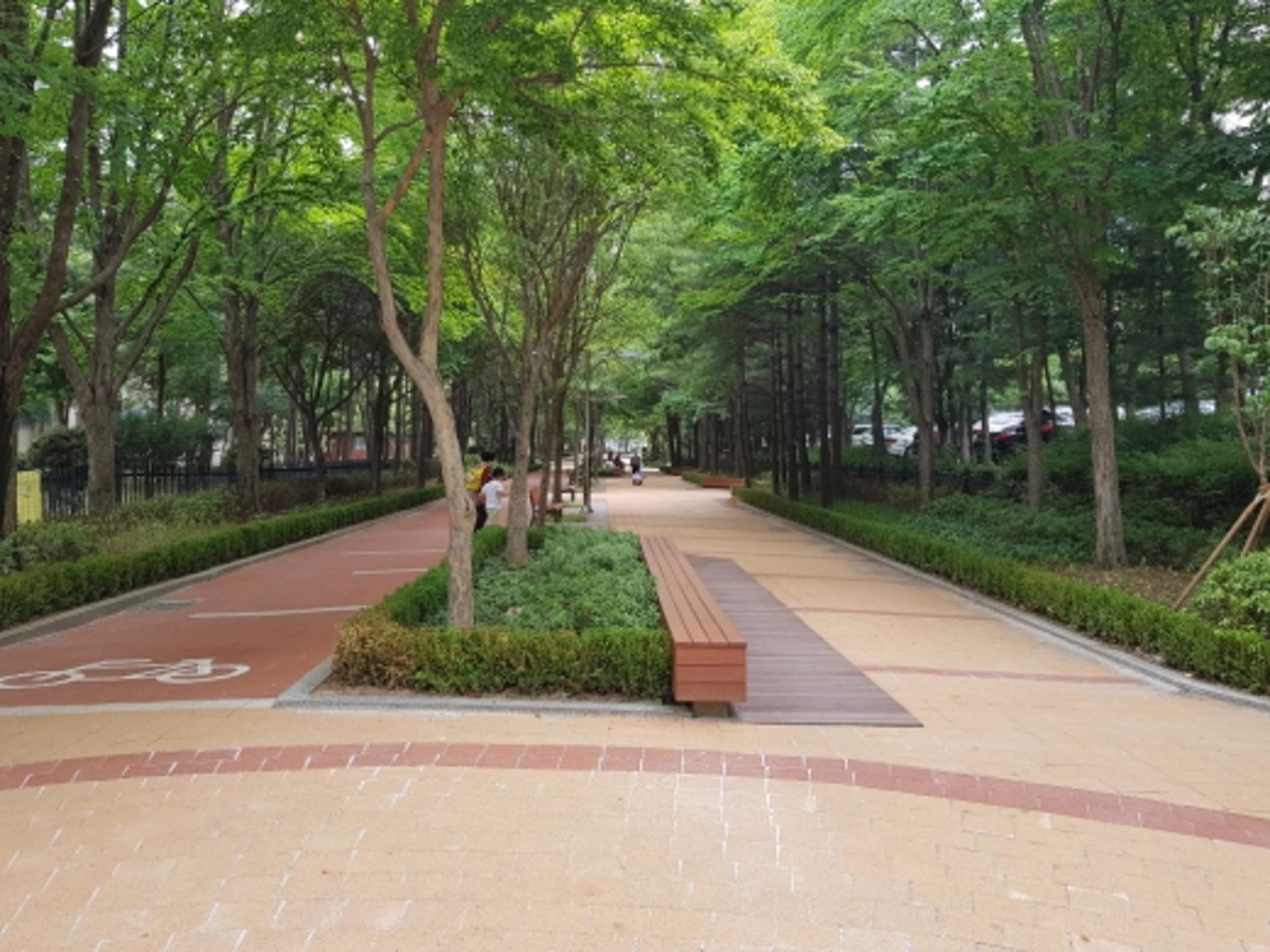 고양시, 자연과 함께 하는 ‘도심숲 조성사업’ 시행