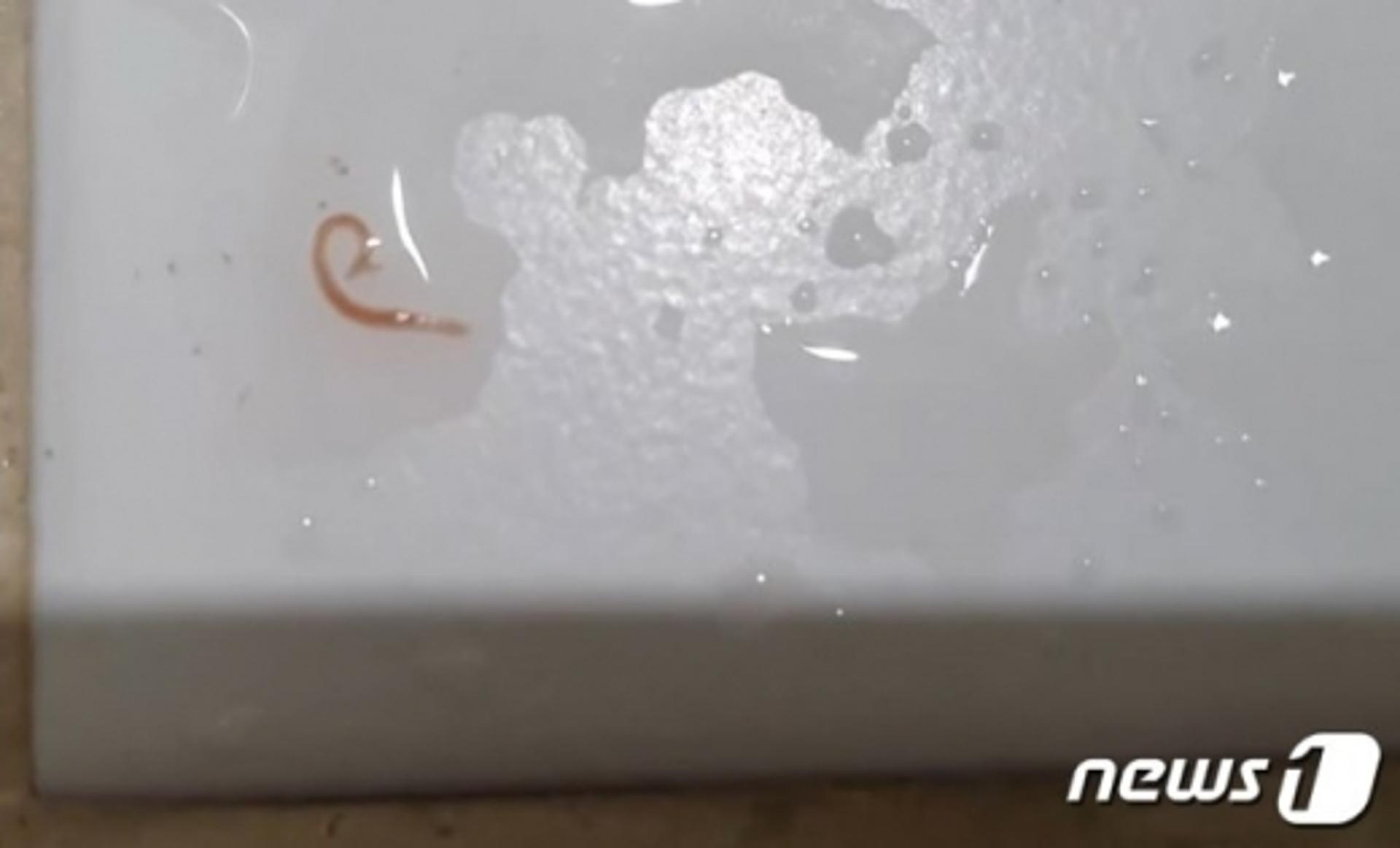 인천서 수돗물 유충 추정물체 12건 발견… 누적 266건