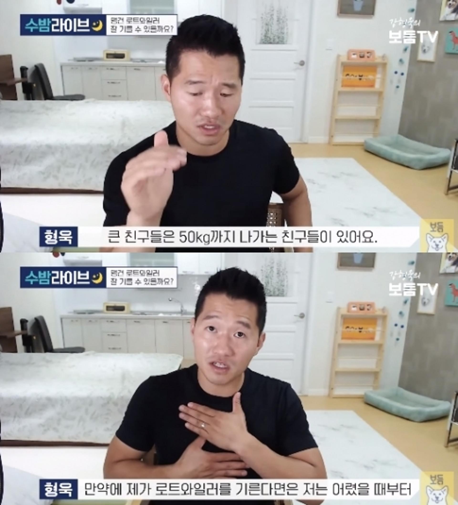 강형욱이 본 로트와일러… "무는 힘도 세고 위험해요"