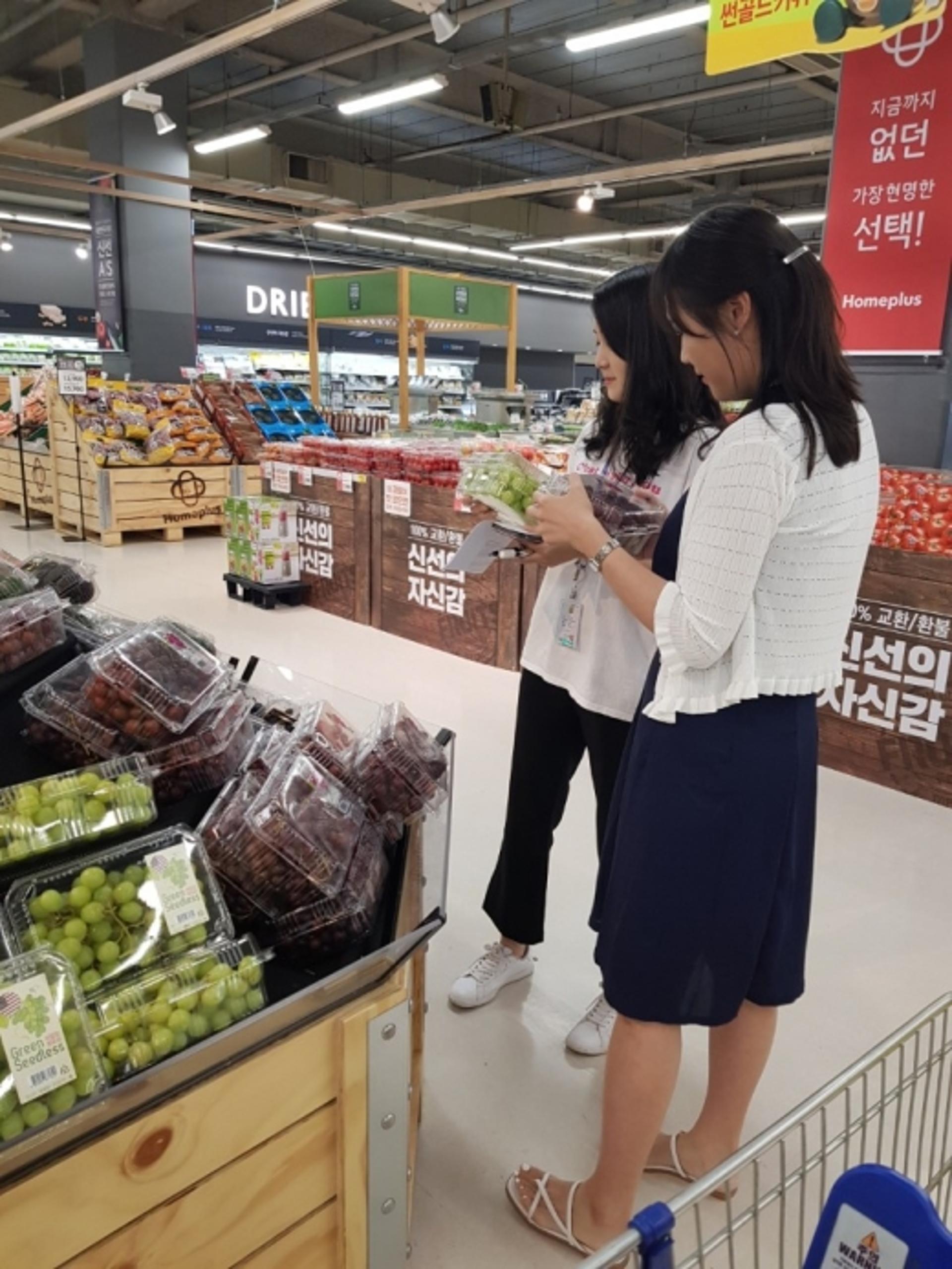 제철과일 포도에 항암·항바이러스 성분 '팡팡'