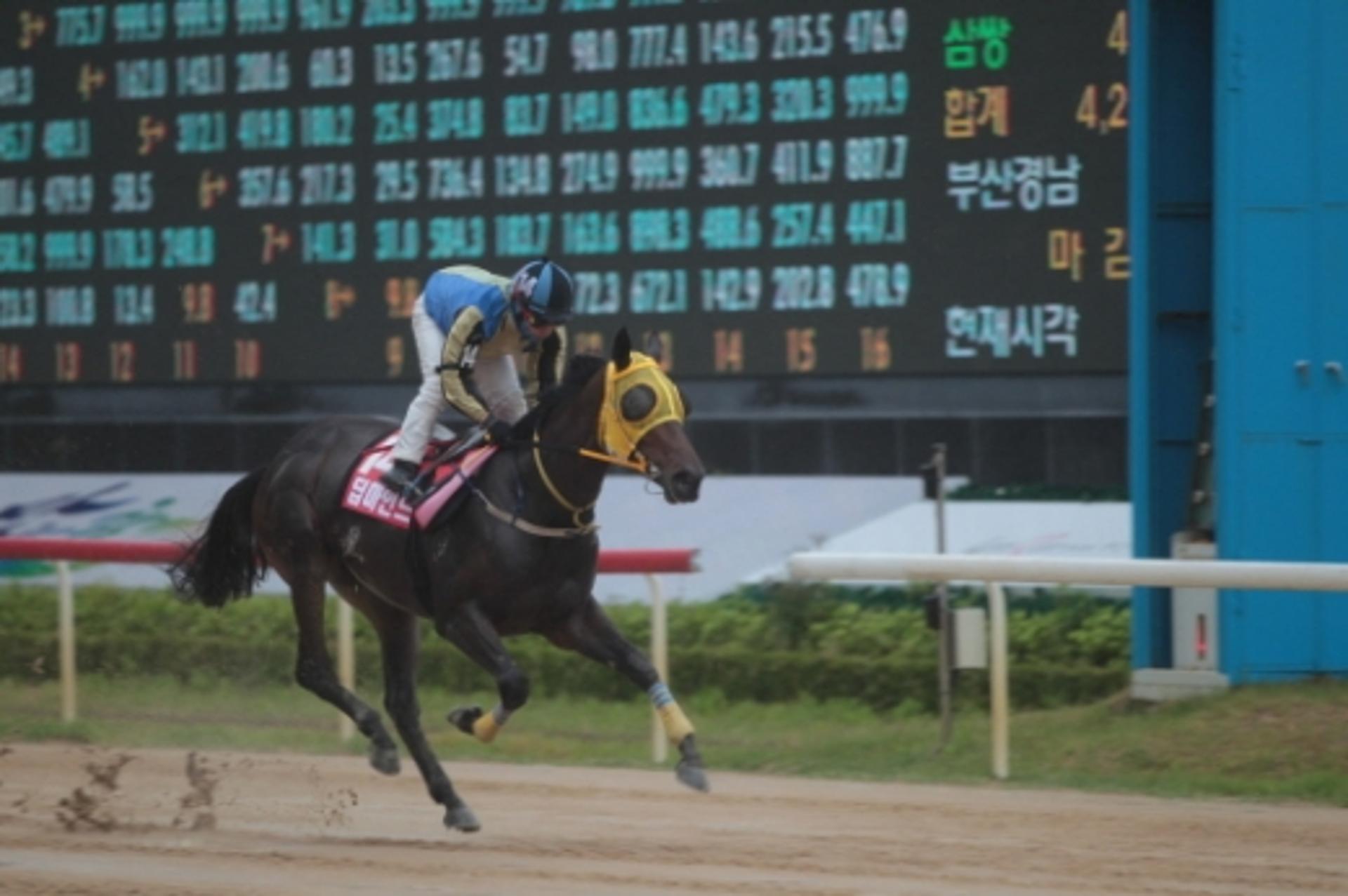 부경경마공원 '코리안오크스' 대상경주, 9일 막 올린다