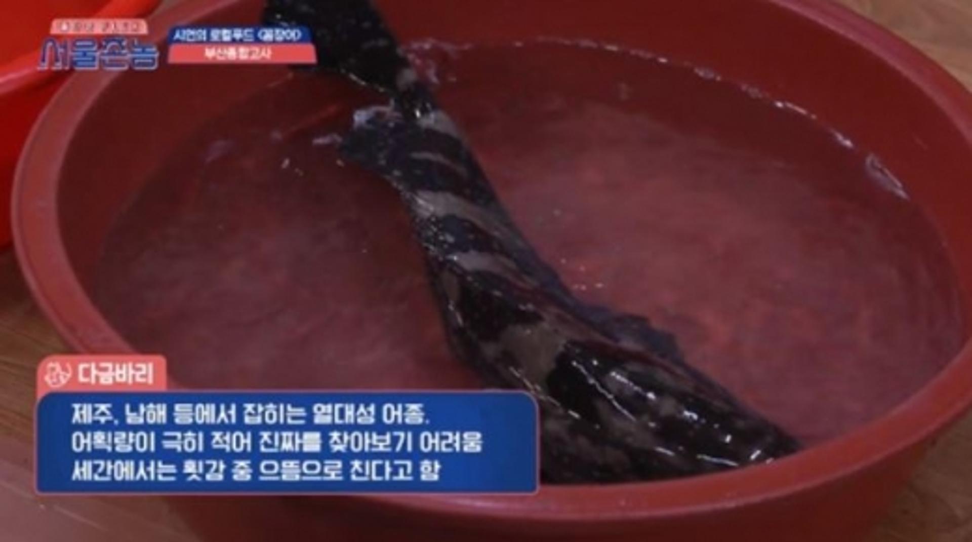 '서울촌놈' 다금바리 진위여부 논란 왜 불거졌나