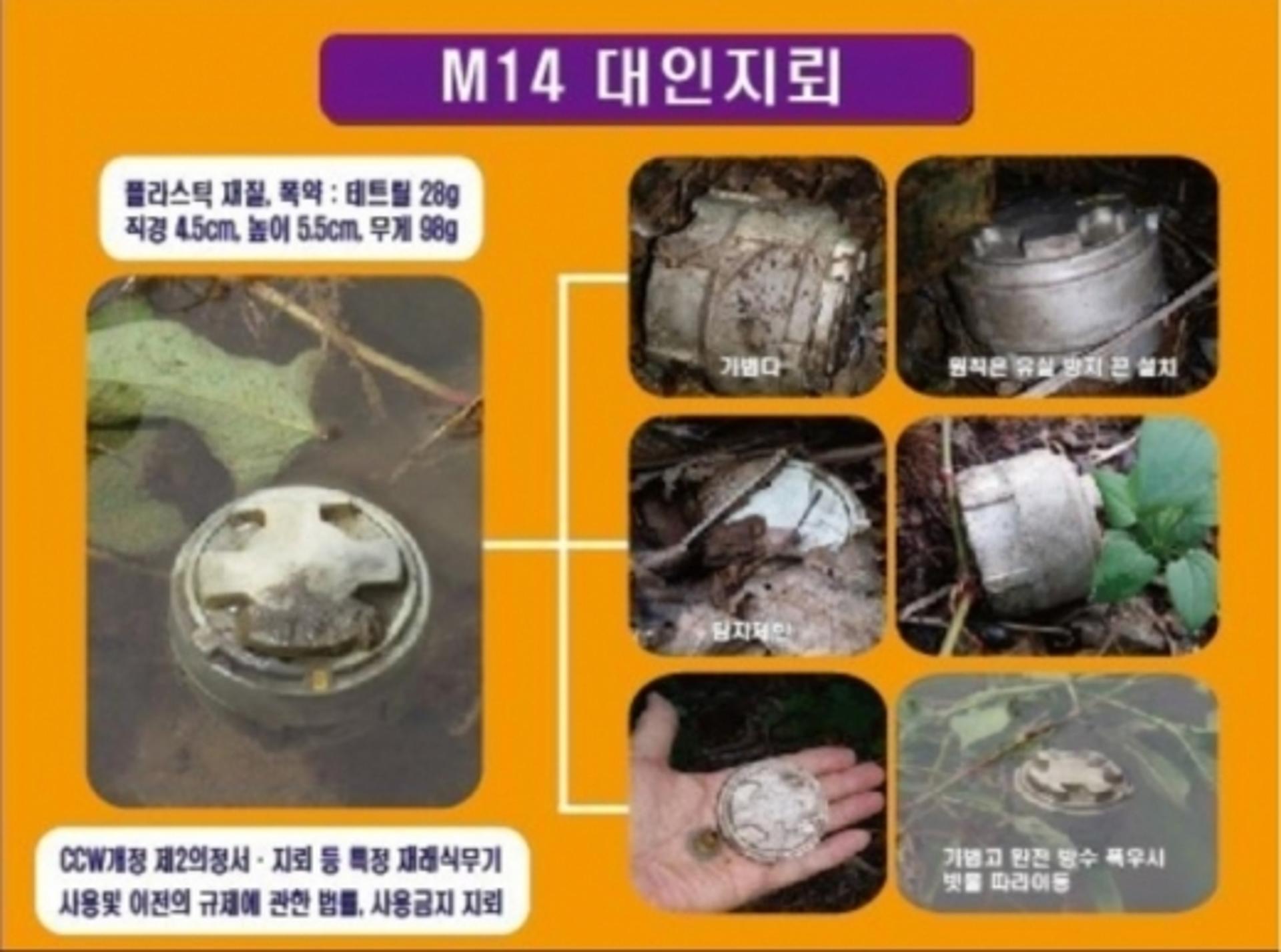 파주시, 집중호우로 유실된 지뢰 사고 예방 추진