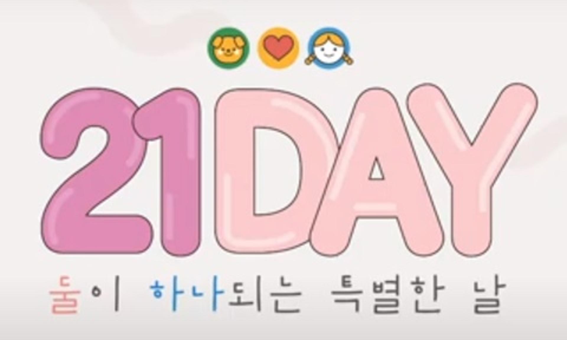 경기도 유기동물 입양활성화 유튜브 생방，21일 저녁 8시부터 진행
