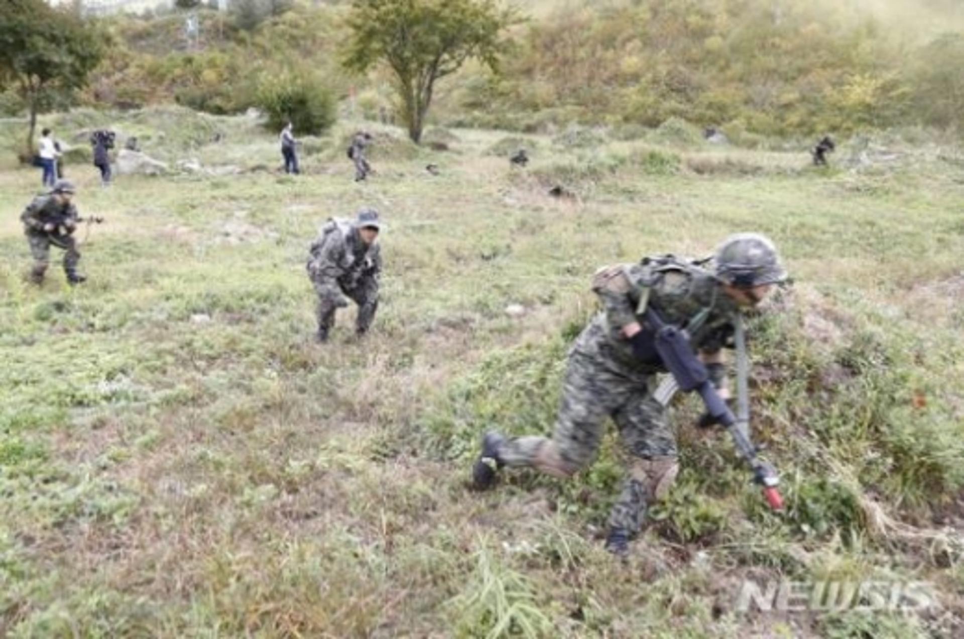 "한타 바이러스 감염?" 육군병사 제초 작업 뒤 사망