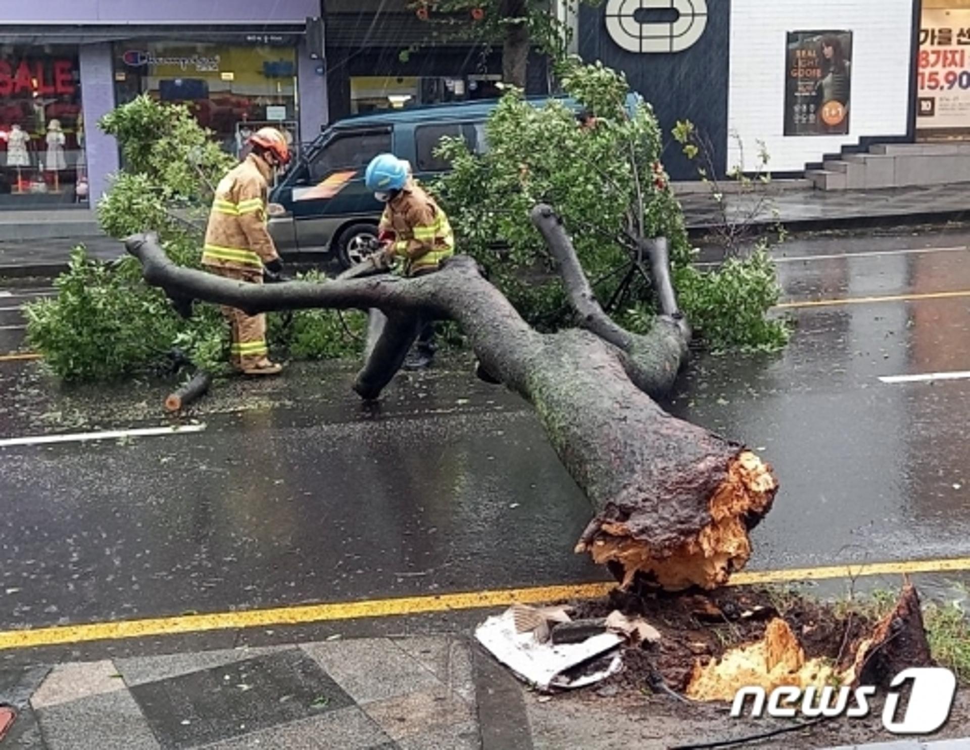 태풍 '바비' 전남 영광 근접… 한빛원전 비상근무 돌입