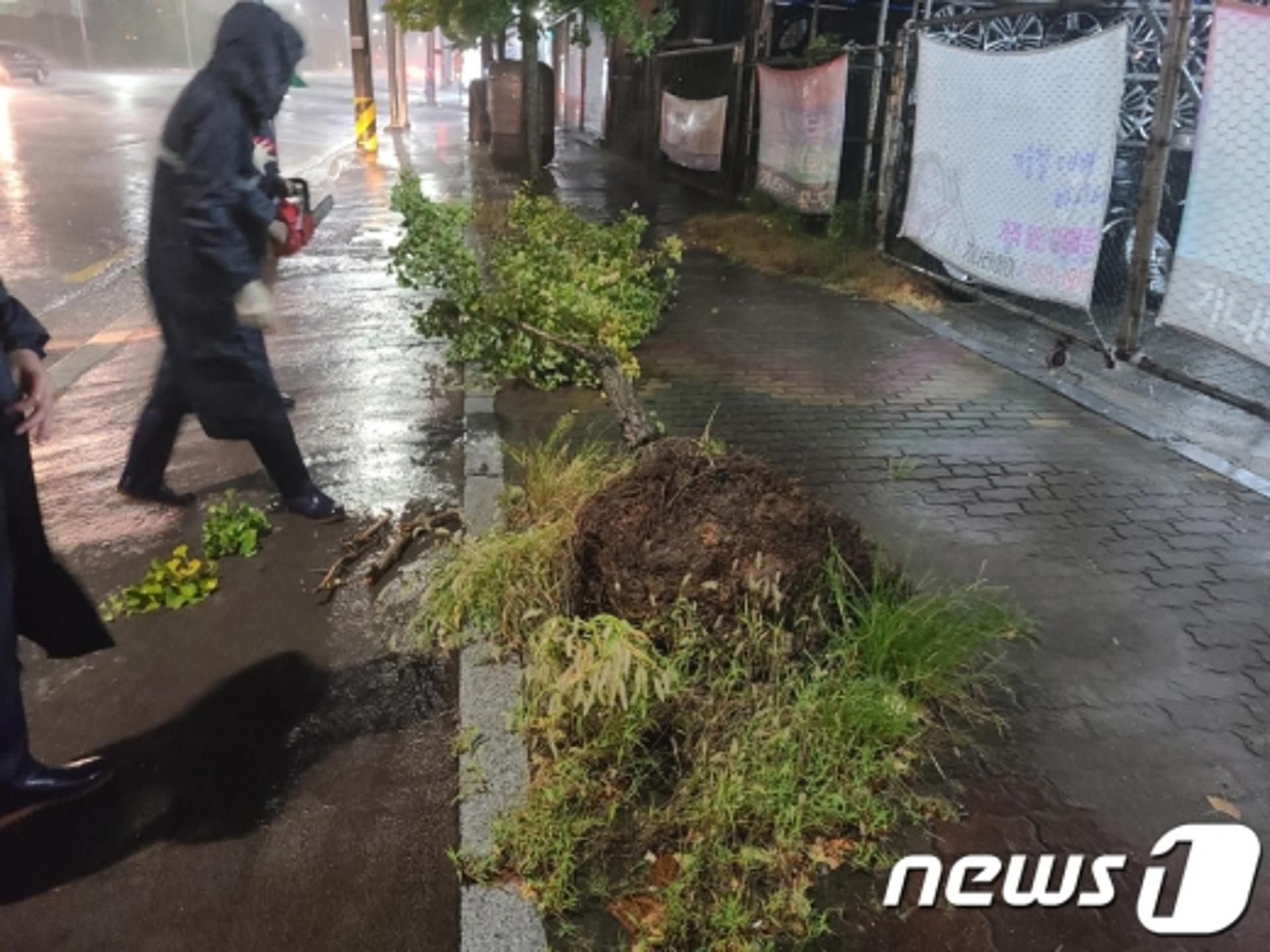 덩치 키운 태풍 '바비' 새벽 수도권 근접… 서울 '최대 위험'