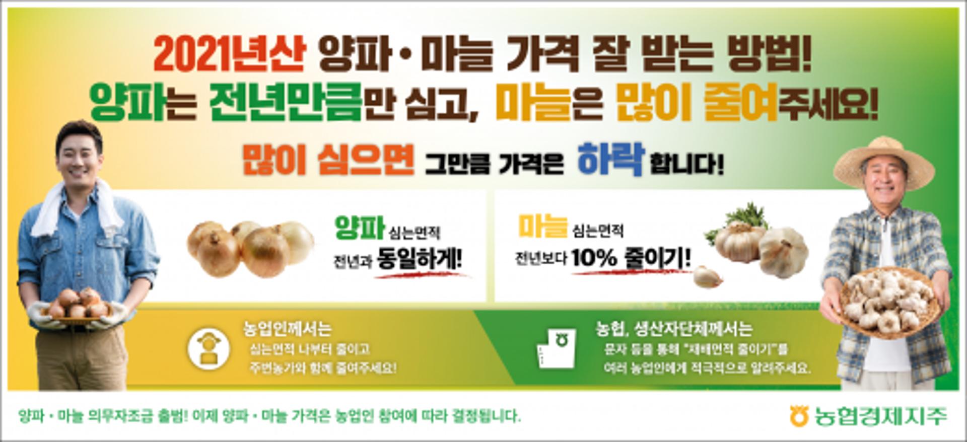 전남농협, 양파·마늘값 안정 위한 '적정면적재배' 홍보 박차