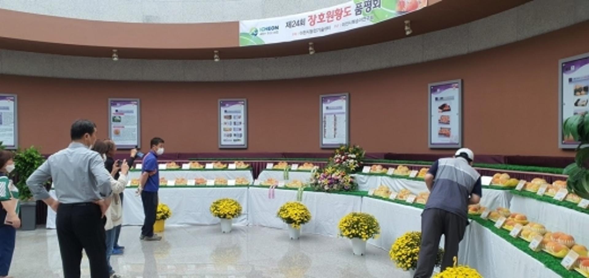 이천시, 제24회 장호원황도품평회 성료