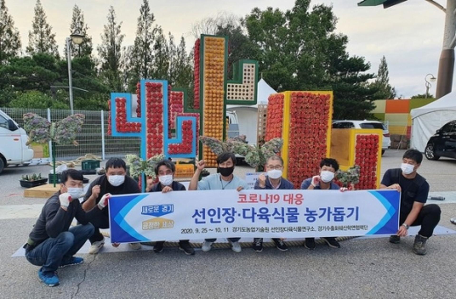 경기도 농기원, 코로나19 피해 선인장 다육식물 재배농가 돕기 나서