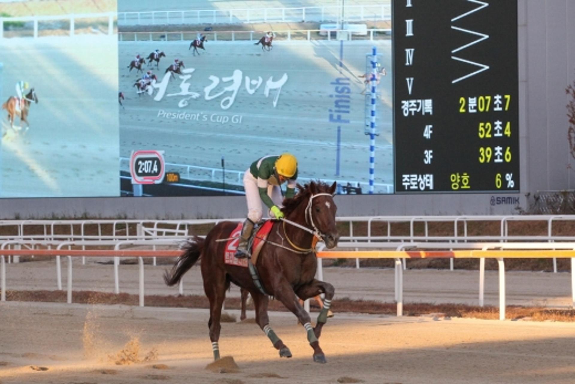 '한국경마의 살아있는 전설' 트리플나인, 경주로 떠난다