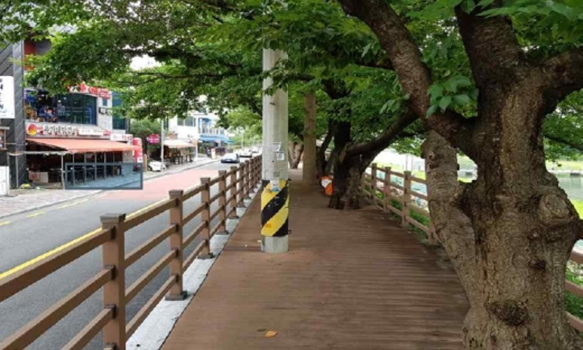 동래구 온천천 카페거리 '전봇대 사라진다'