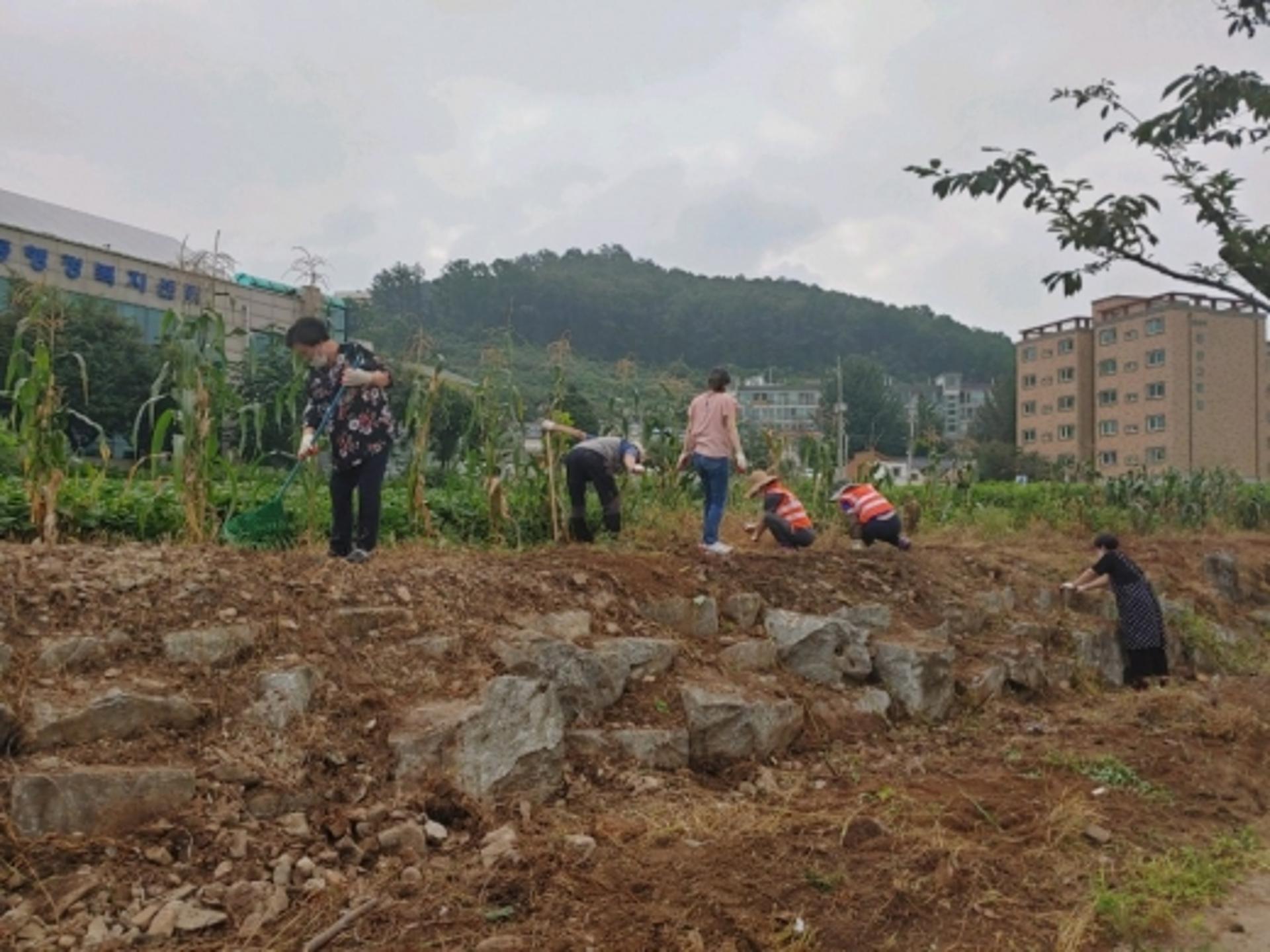 동두천시, 모두가 함께 완성한 '화목(花木)한 보산스트리트사업' 진행