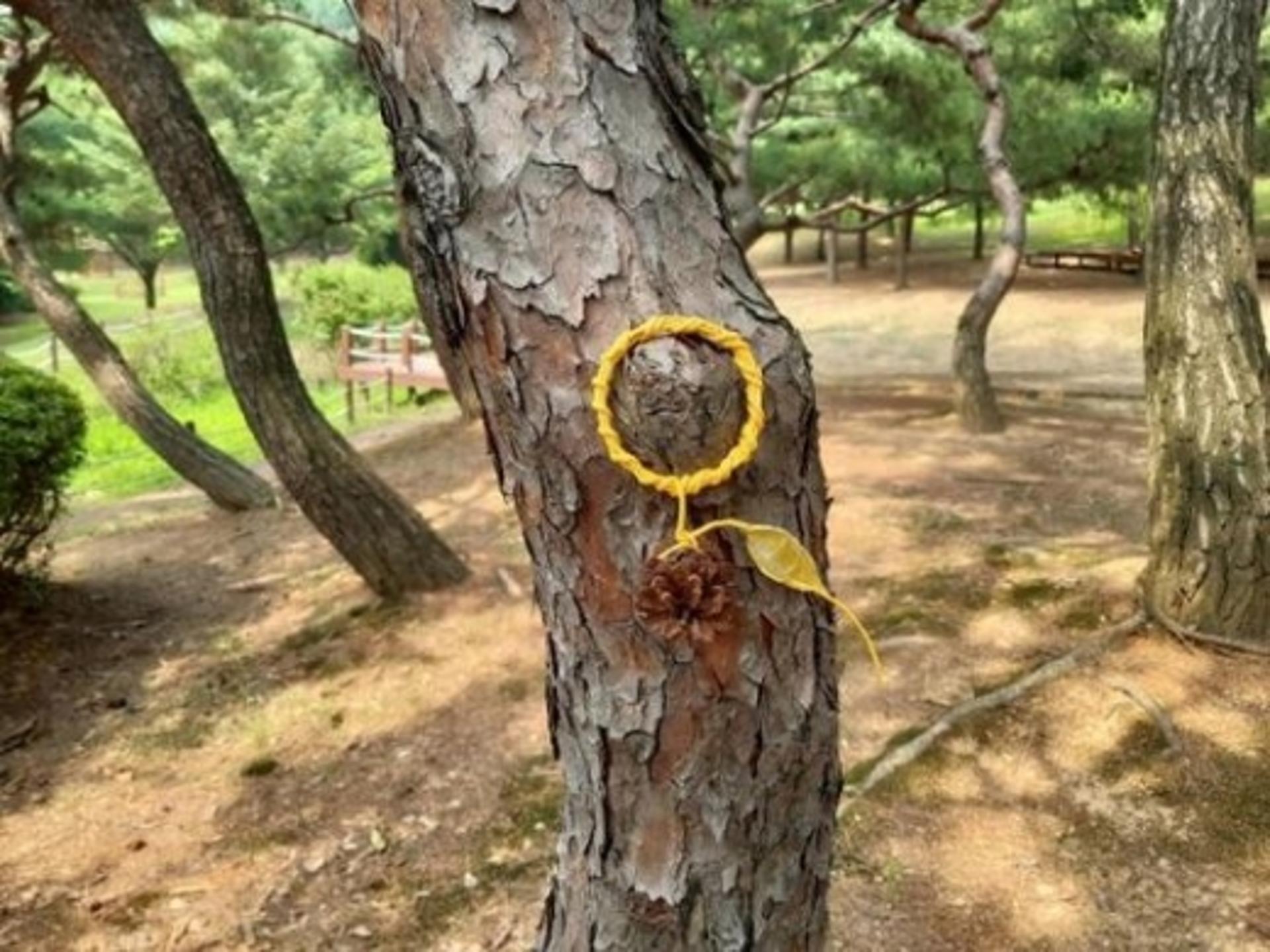 고양시, 자체 개발한 프로그램으로 산림청 산림교육 국가 인증 획득