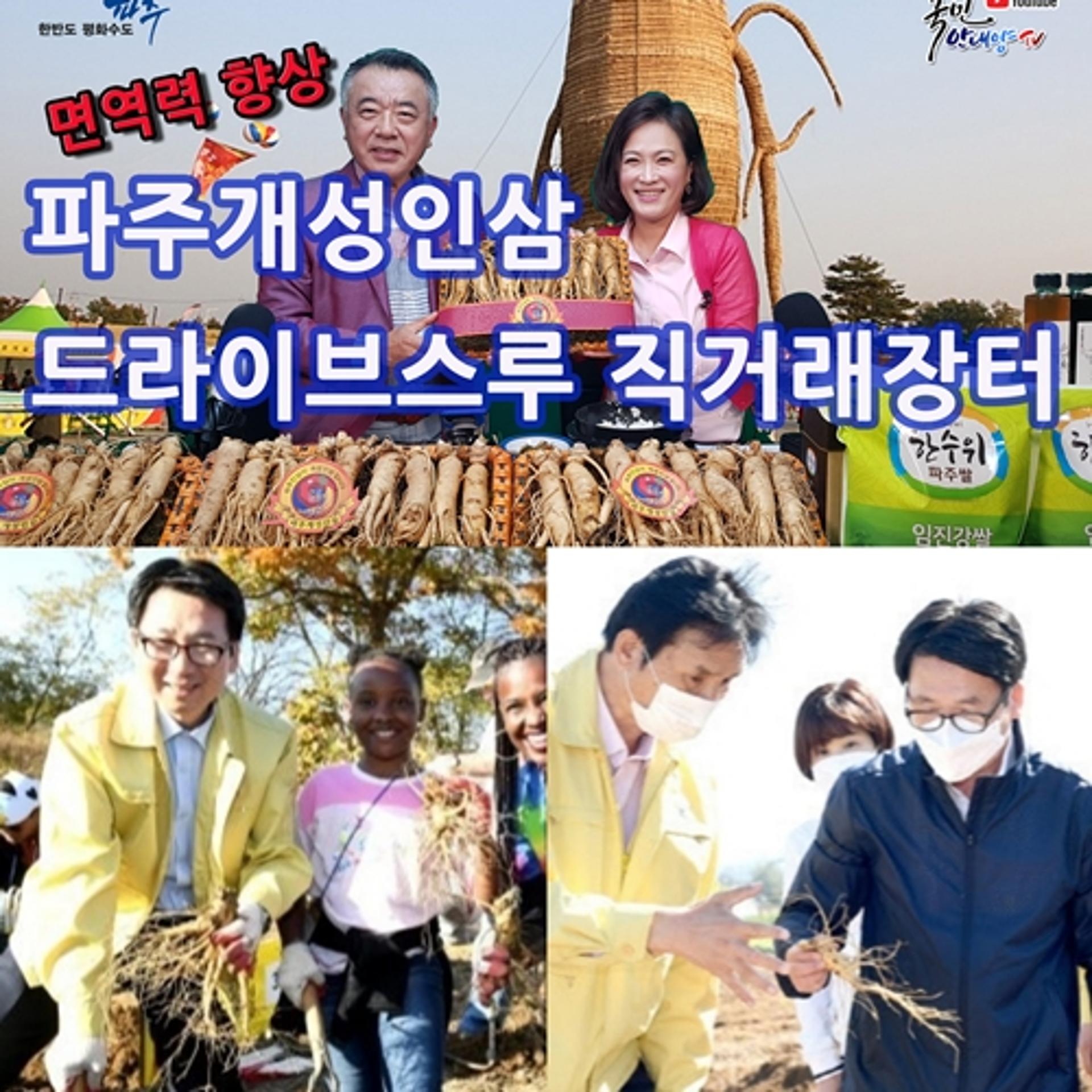 '파주개성인삼', 유튜브 '국민안내양TV'에 집중 홍보