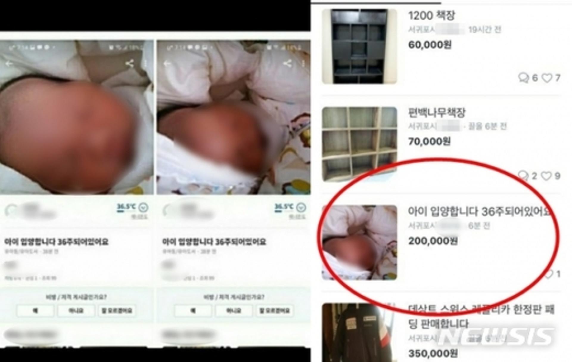 당근마켓, '36주 영아' 판매글 충격… "세상이 너무 무섭다"