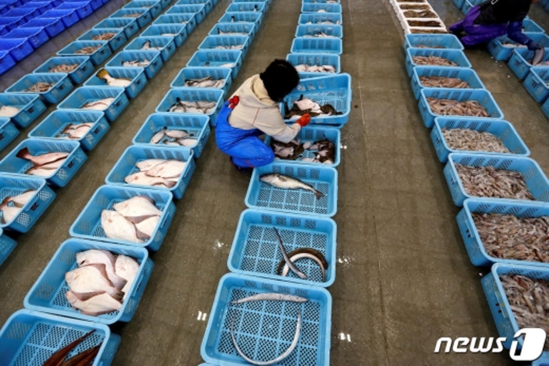 일본 정부 "후쿠시마 원전 오염수 해양 방출 27일 결정"