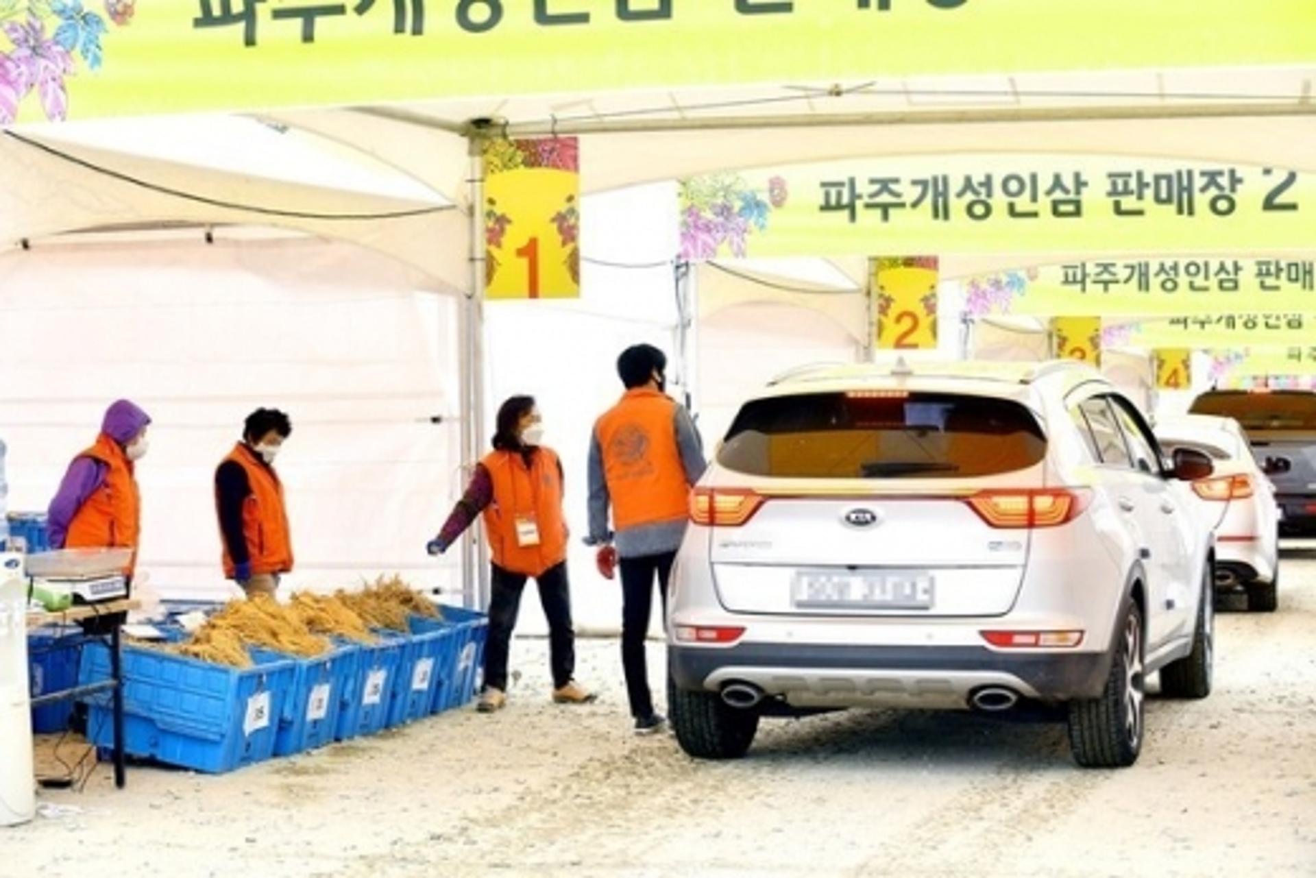 파주시, 파주개성인삼 드라이브스루 행사… 3억 3000만원 판매
