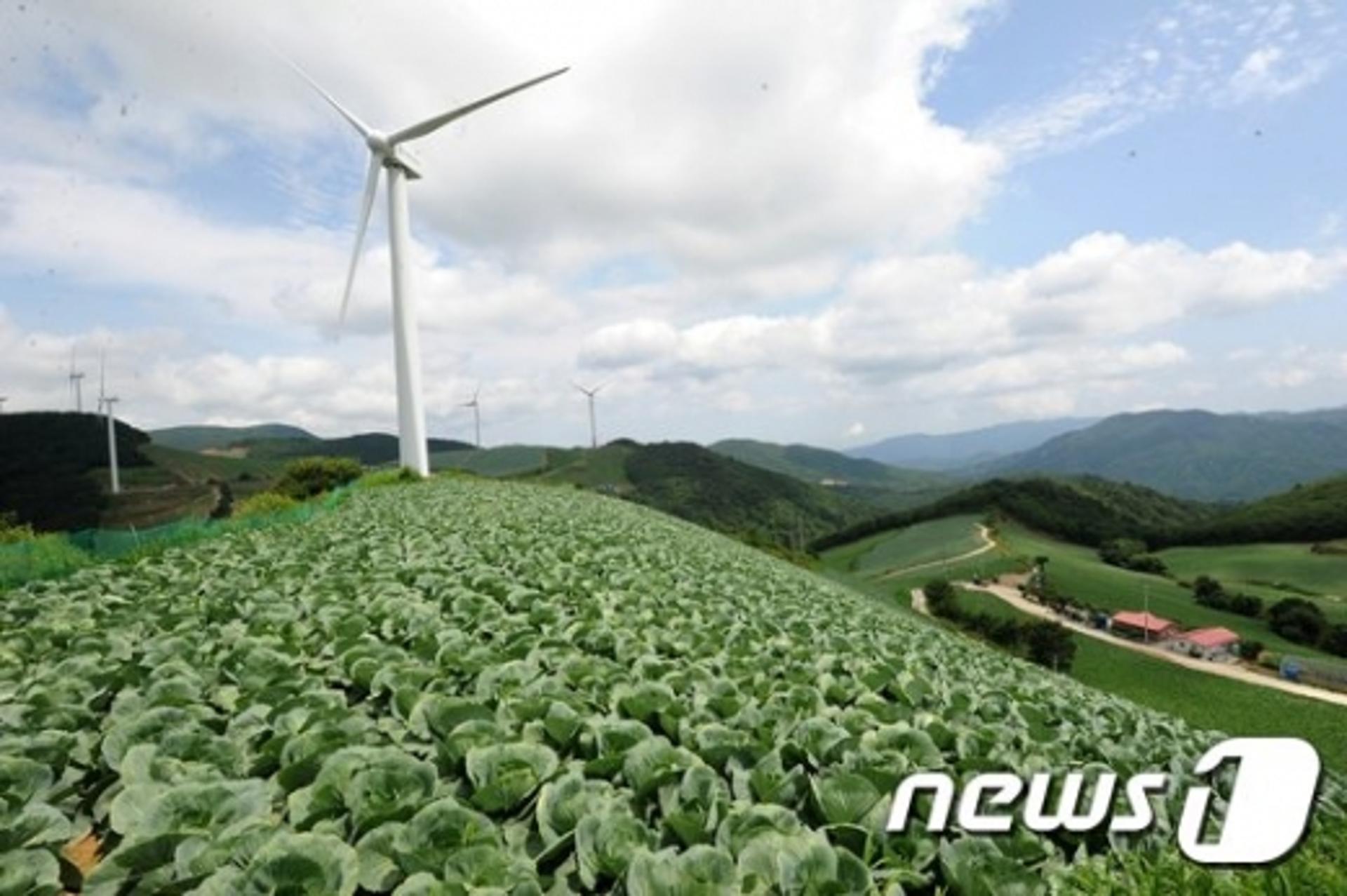 화사가 "별 보러 갔다"던 '강릉 안반데기'는 어떤 곳?