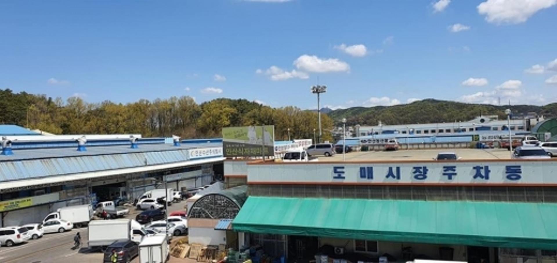 안산시농수산물도매시장, 노후시설 획기적으로 개선한다