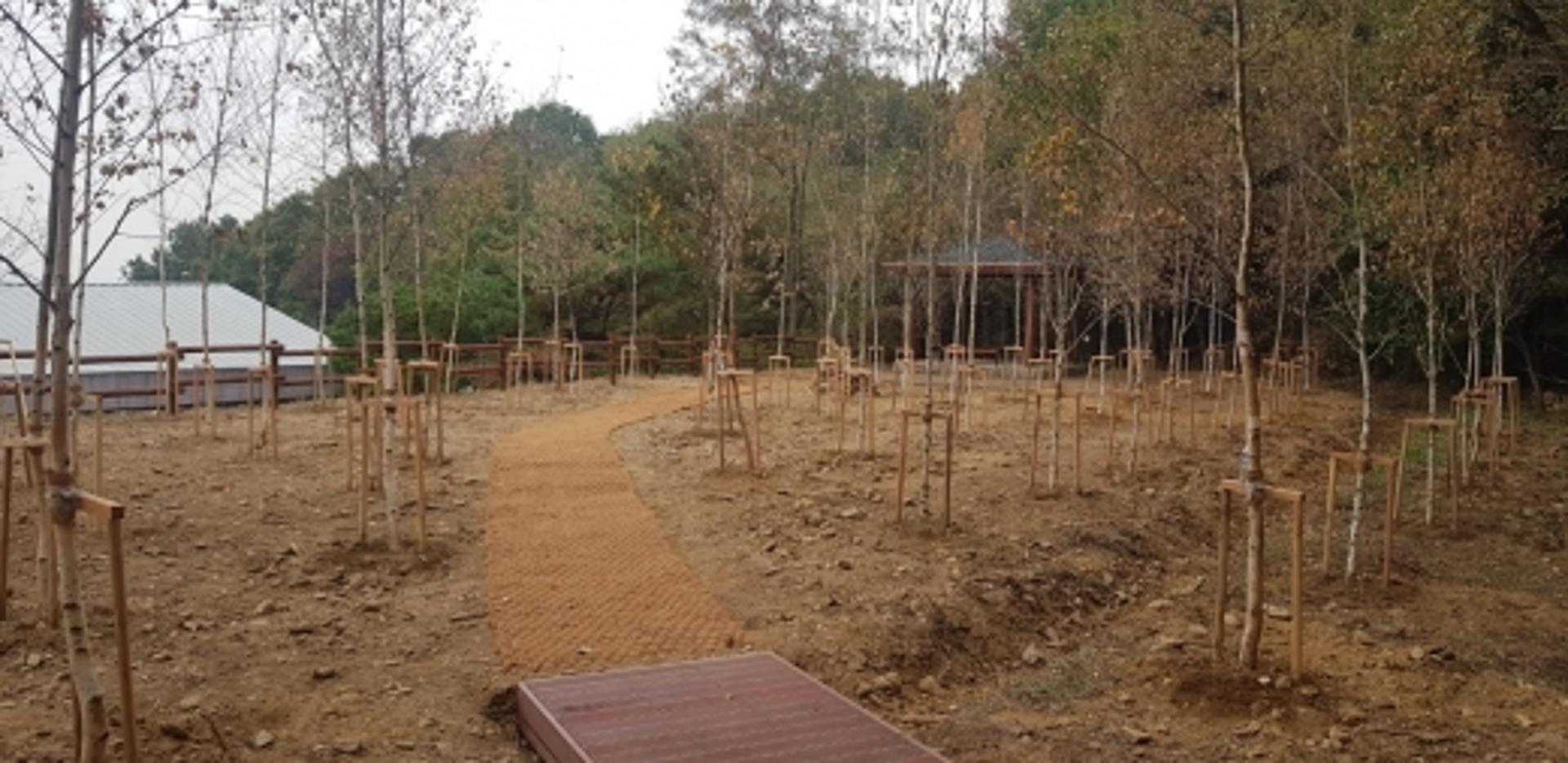 파주시, 도시숲 조성사업 완료