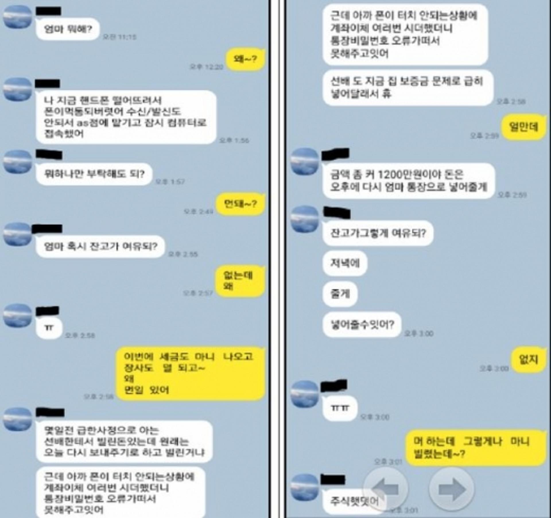 "엄마, 나 돈 좀 보내줘"… 메신저피싱 피해금액 300억원 육박