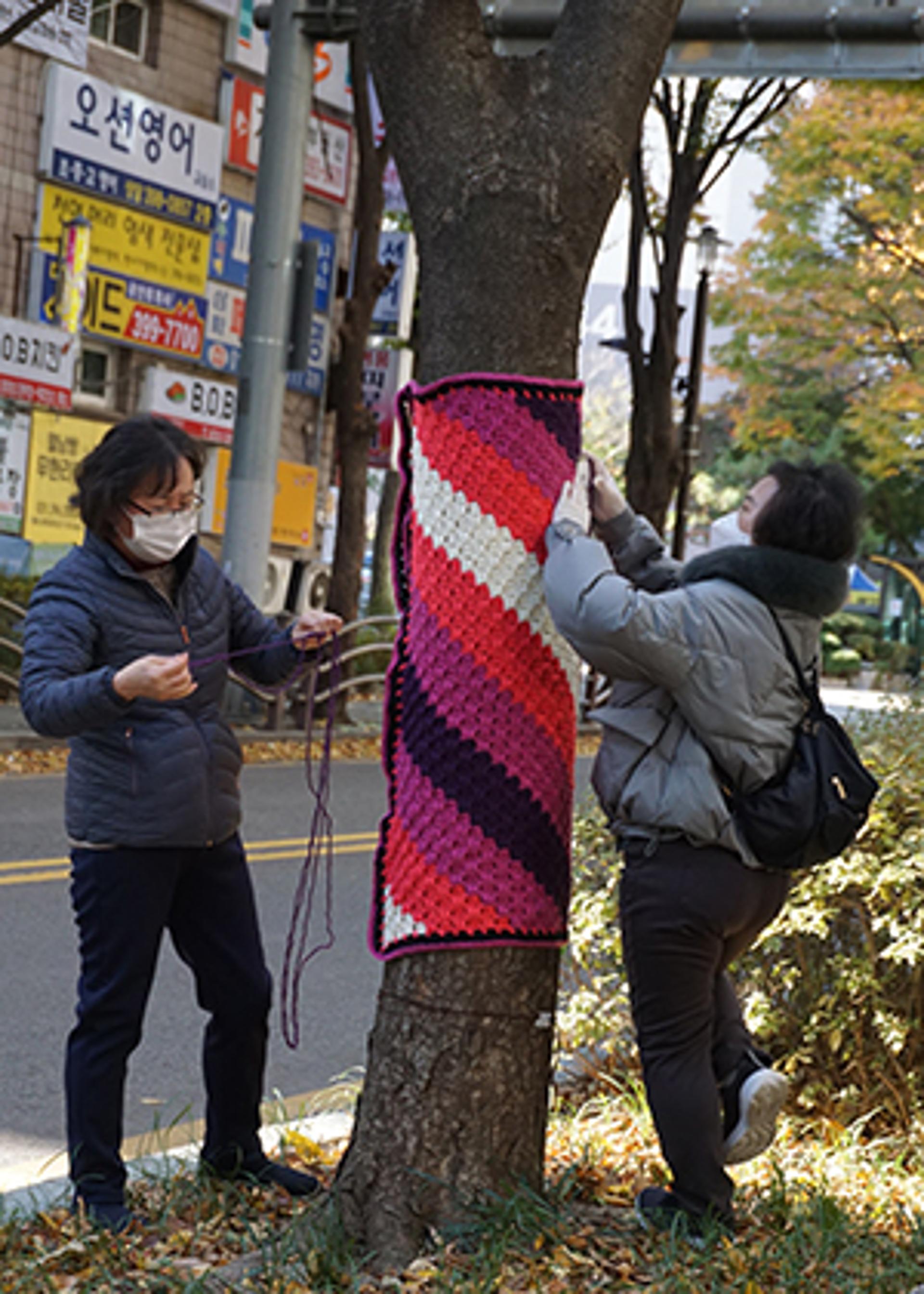 "가로수에 포근한 뜨개옷을" 군포시, 나무들에게 알록달록 뜨개옷 입히다