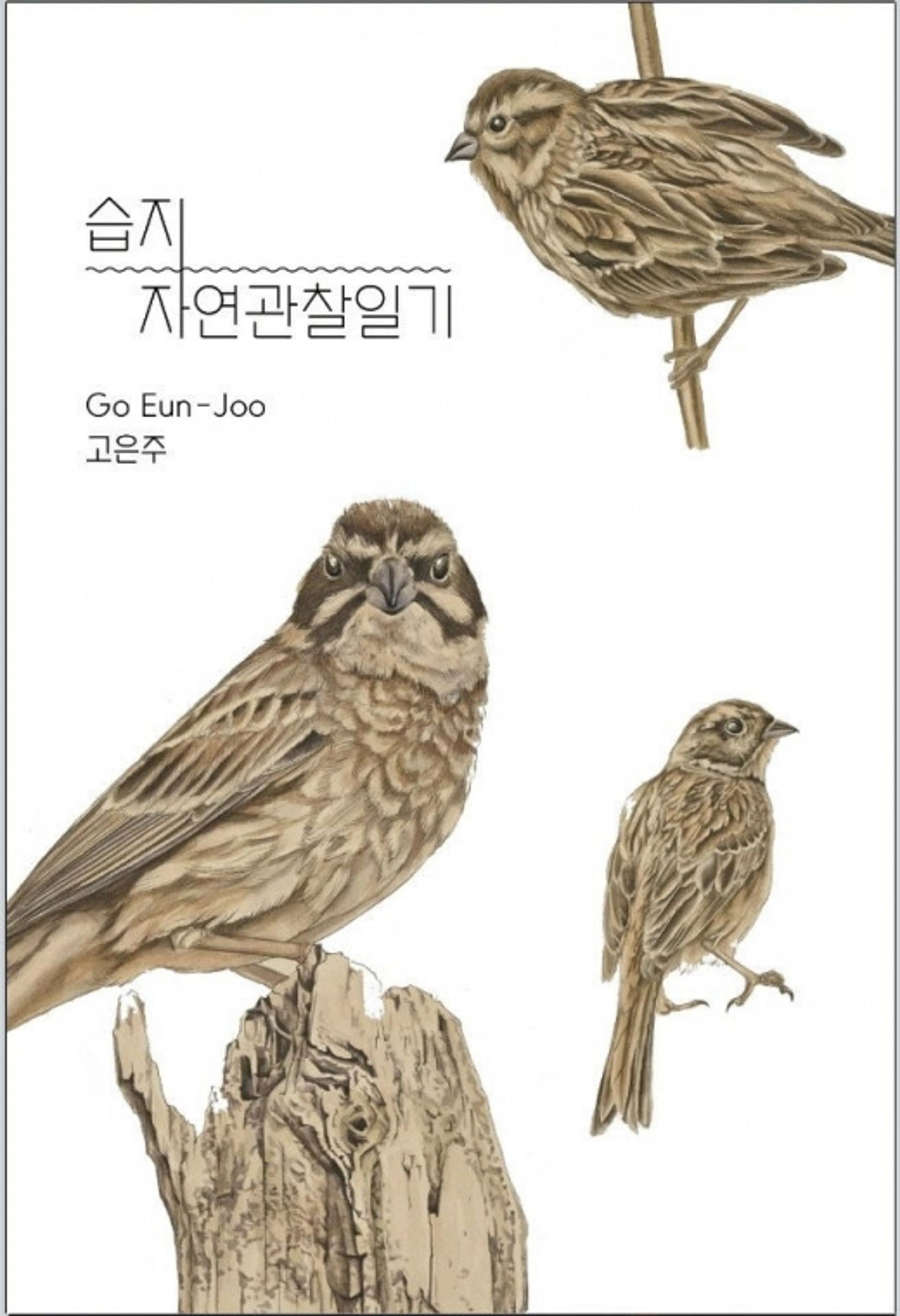 화성시, 비봉습지공원 세밀화 전시회 개최
