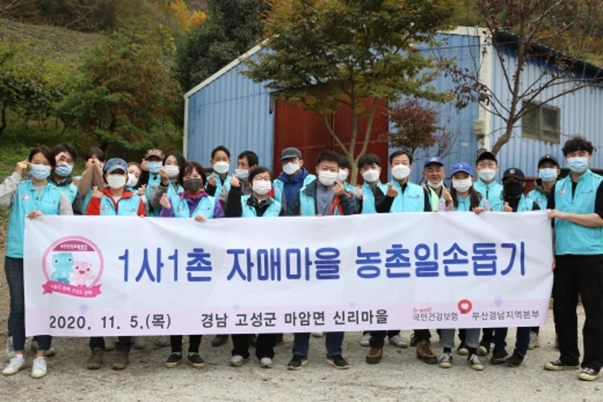 건보공단 부경본부, 자매마을 농촌일손 돕기 봉사활동 전개