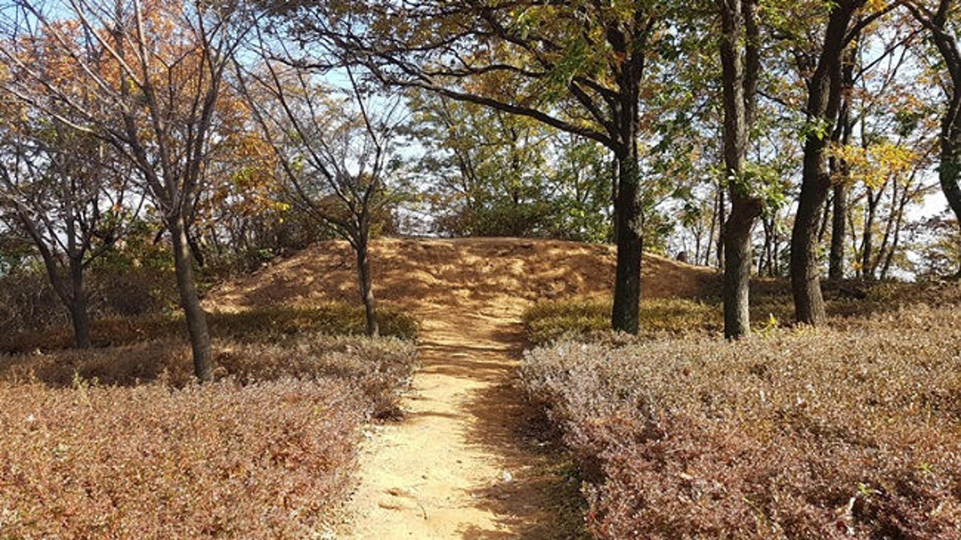 파주시 월롱산 정상부 친환경 복원사업 마무리