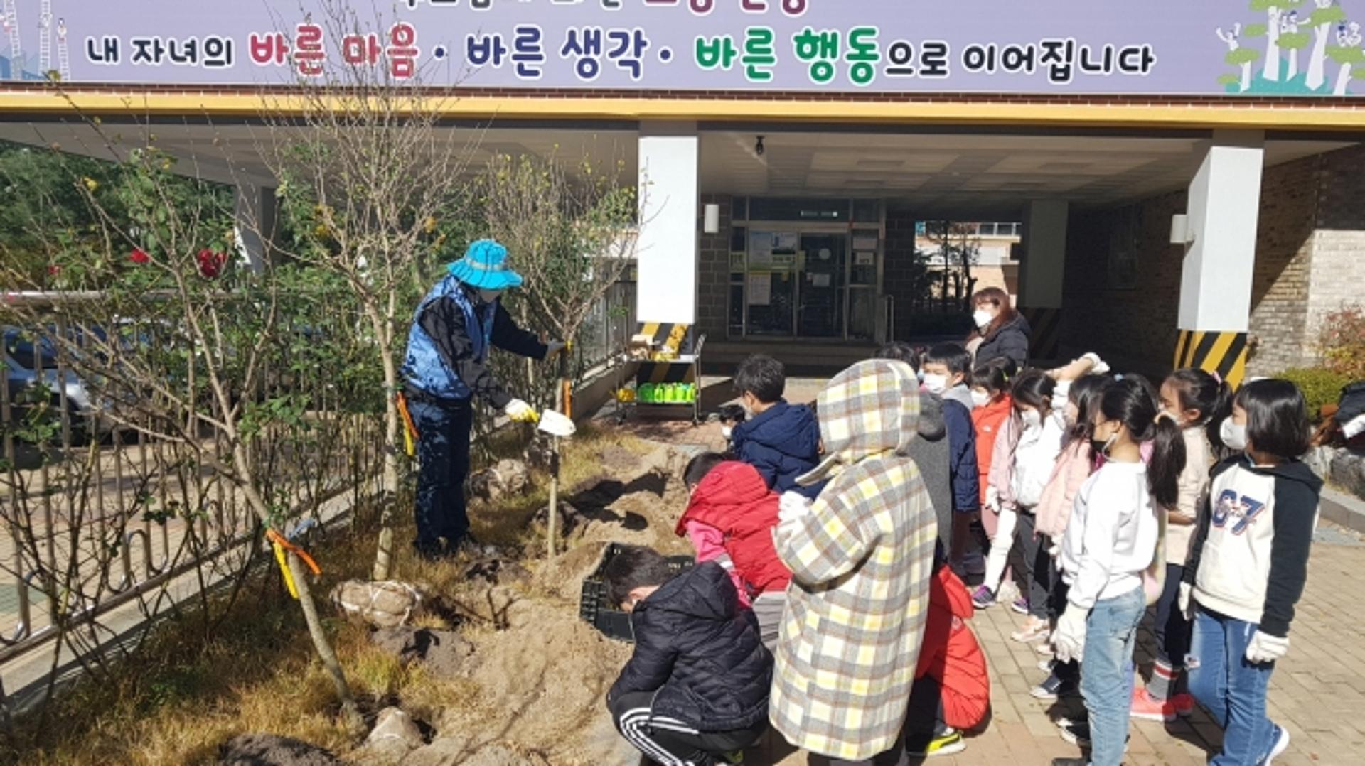 수원시, 올해 6개 초교 및 7개 공공기관에 무궁화 830여주 보급