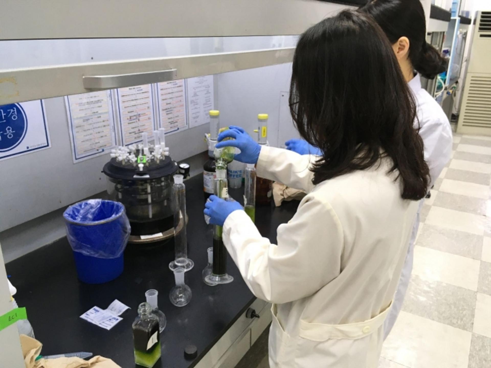 경기보환연, 로컬푸드 직매장 농산물 잔류농약 검사…부적합률 0.9%