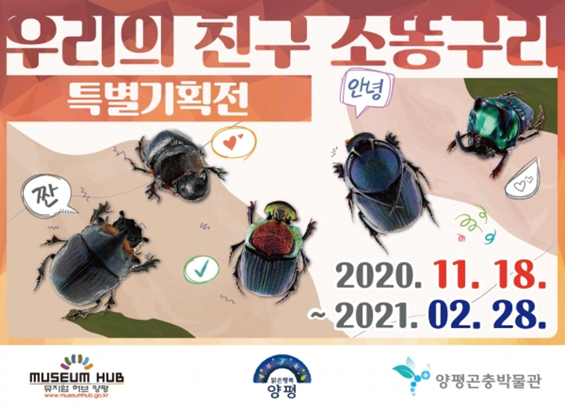양평곤충박물관, ‘우리의 친구 소똥구리 특별전’ 개최