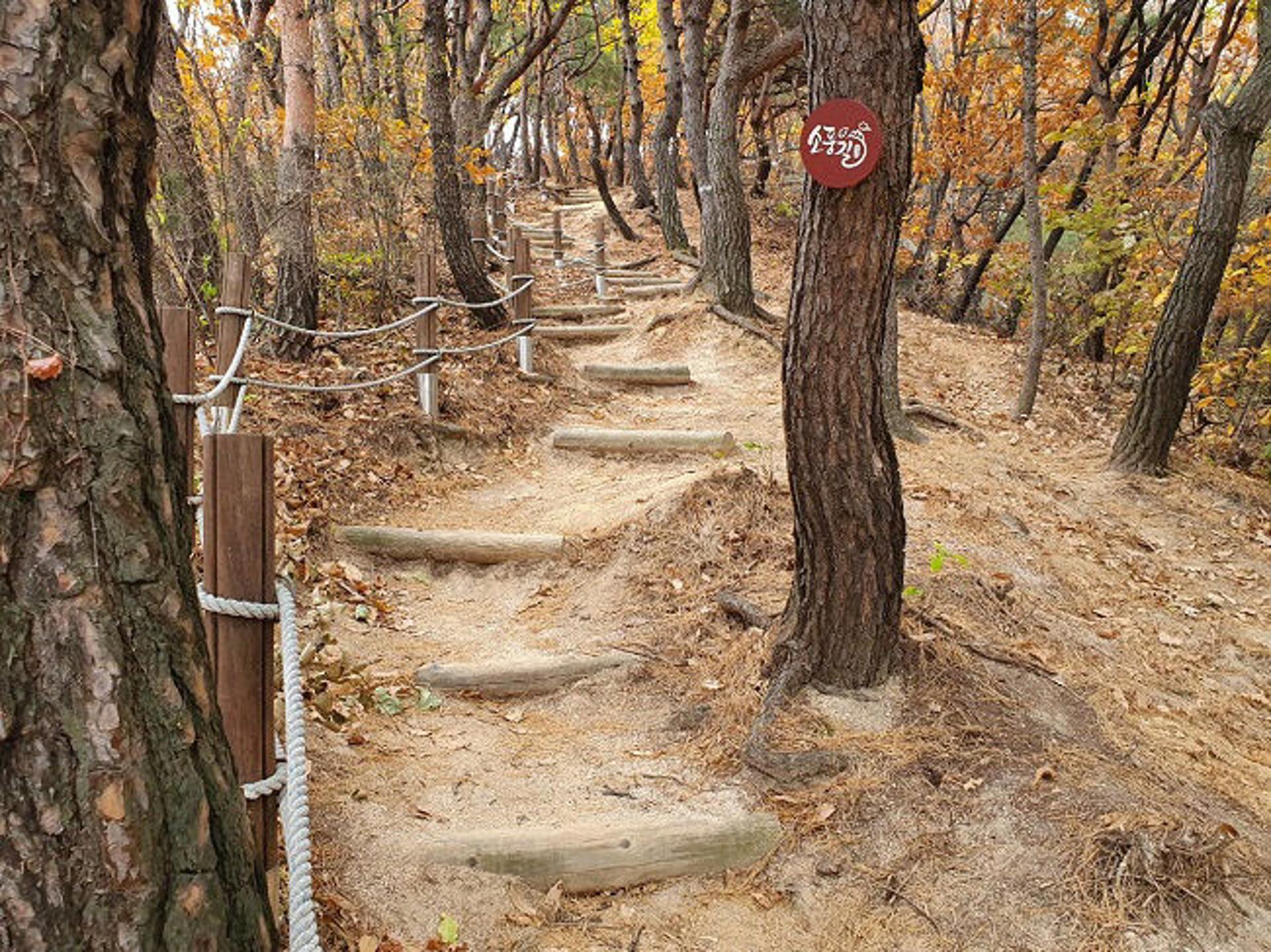 의정부시 "코로나 우울, 숲길에서 해소하세요"