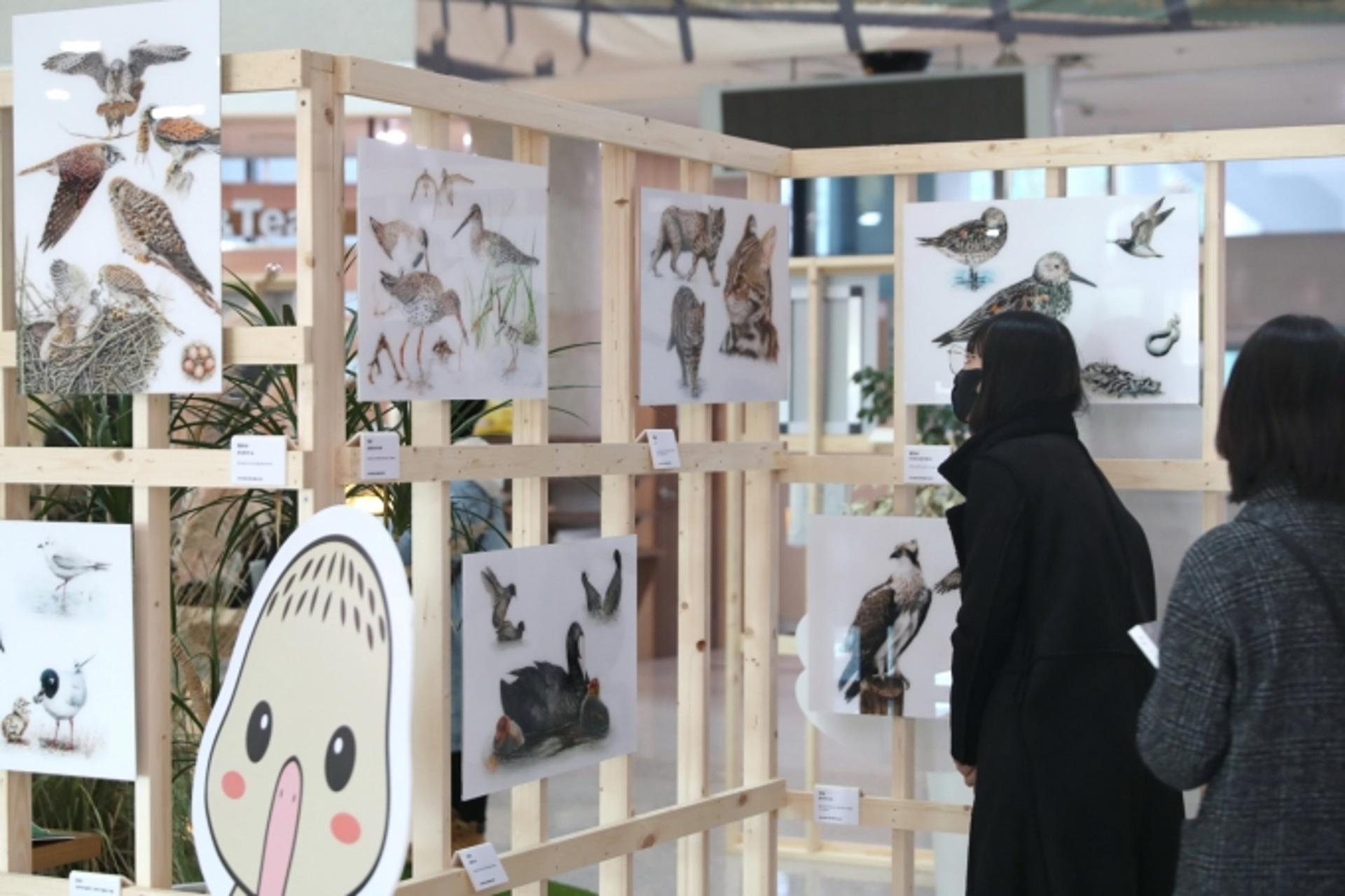 화성시청, 로비에 옮겨놓은 작은 화성습지 전시