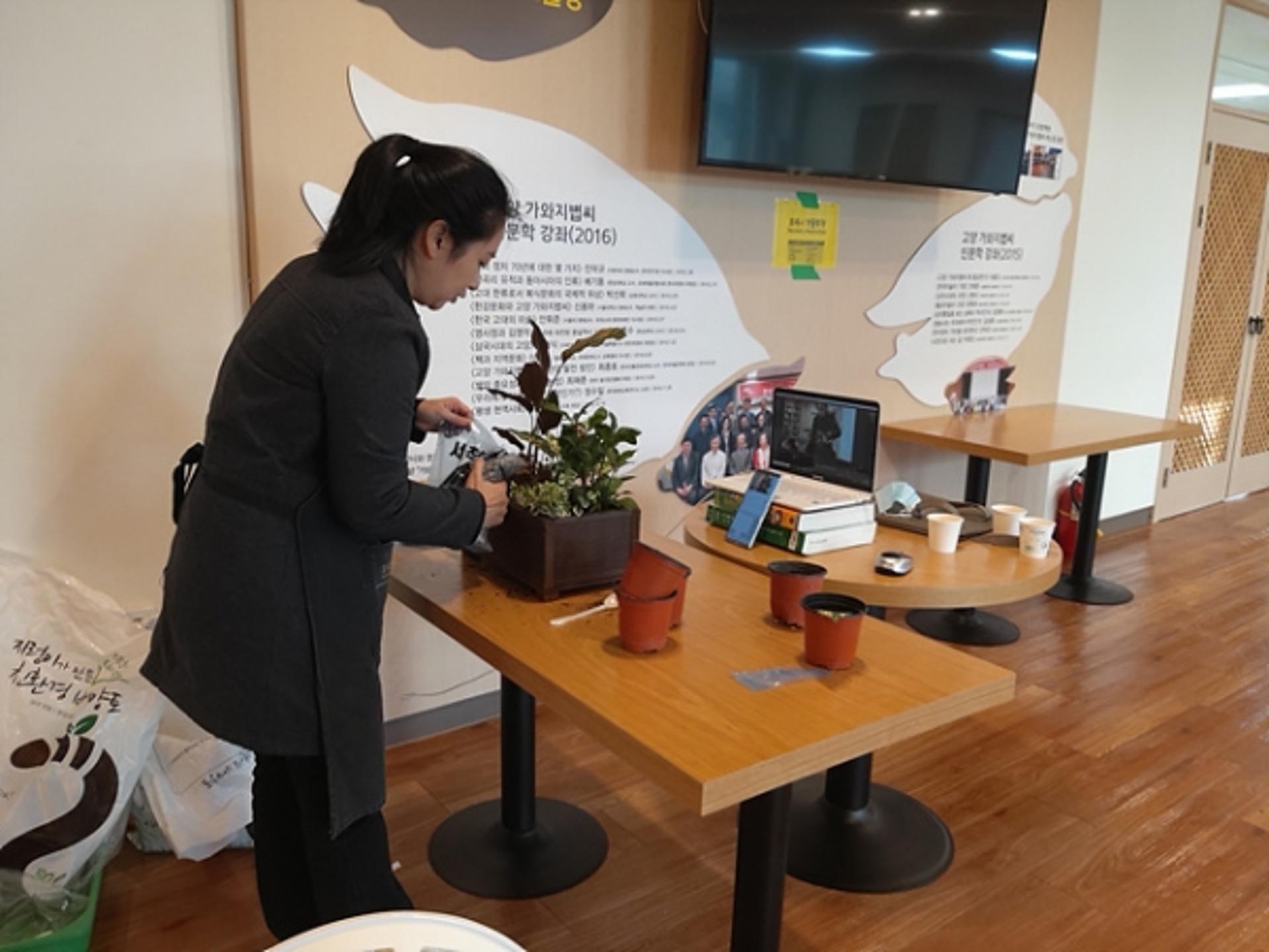 고양시 농업기술센터, ‘반려식물 그린인테리어 가드닝 교육’ 온라인 전환