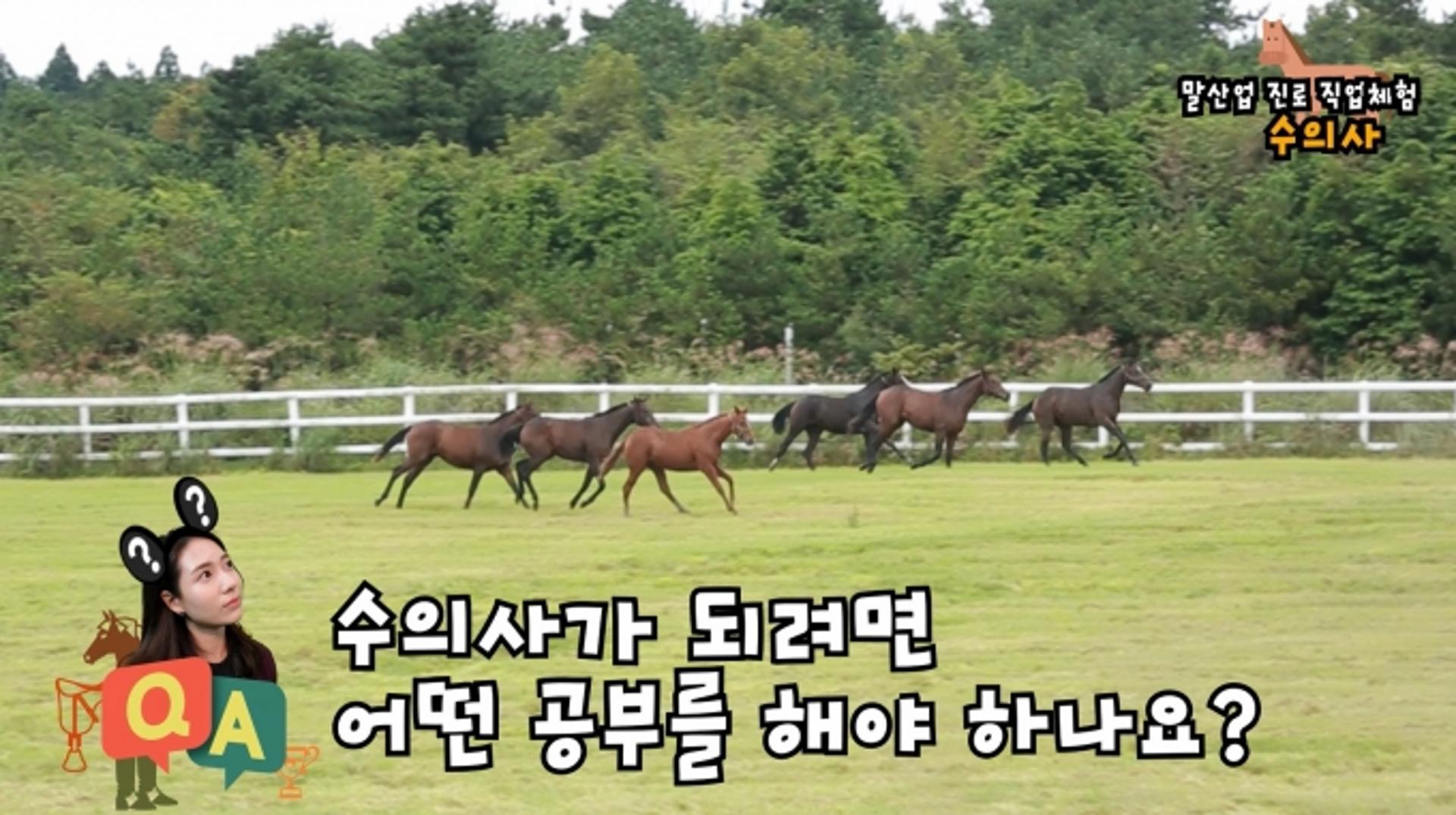 마사회 부산경남, 언택트 말산업 진로직업체험 시행
