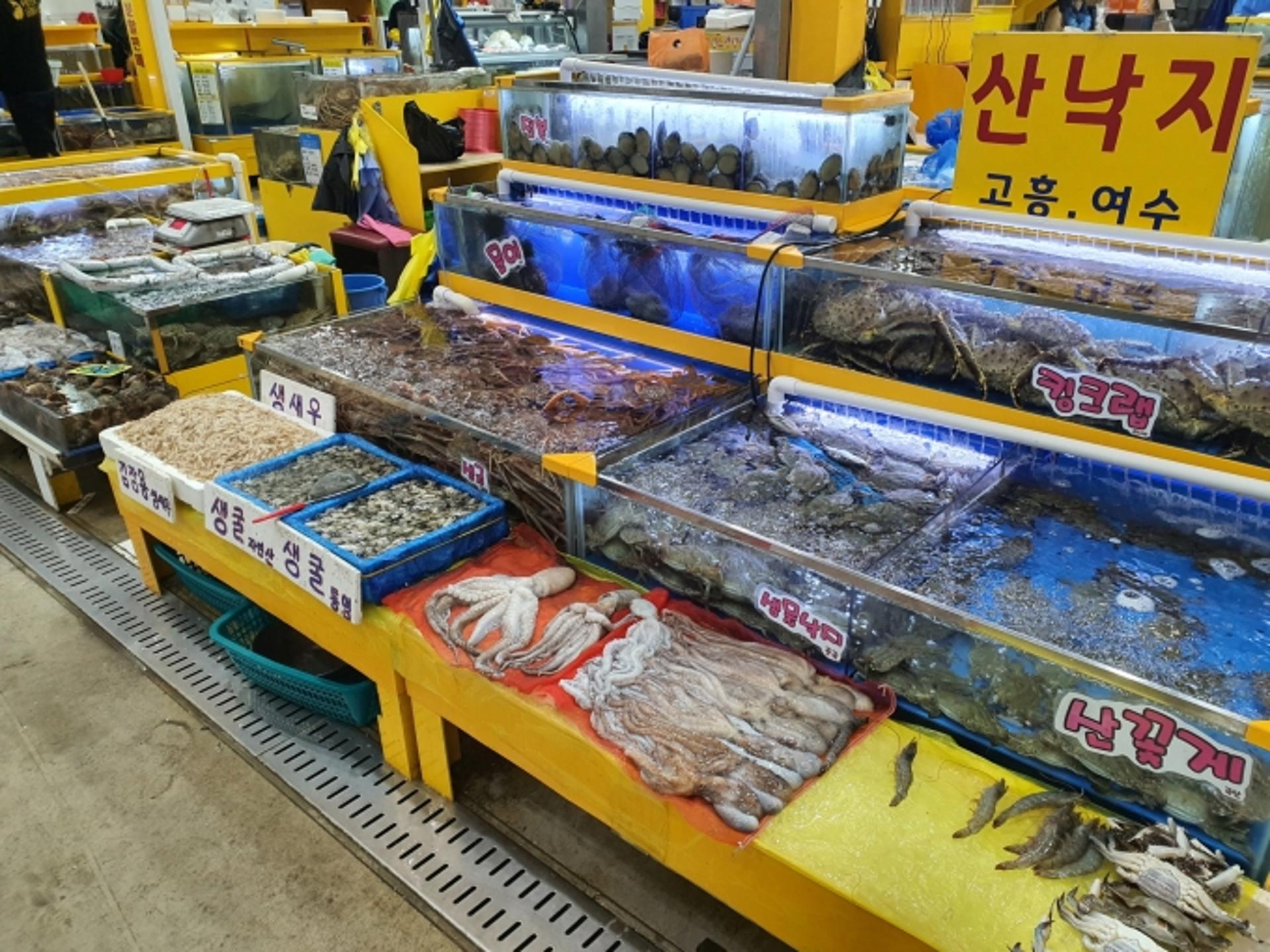 "수원시농수산물도매시장 수산물 안전"…10종, 중금속에 '적합' 판정