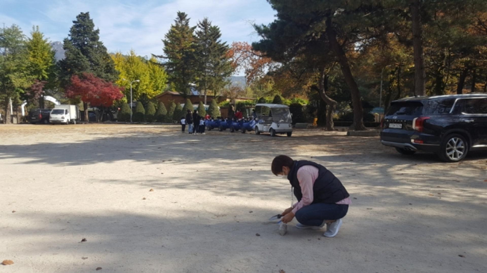 경기도 보건환경연구원, 야외 캠핑장 토양, 기생충(란) 검사결과 "안전"