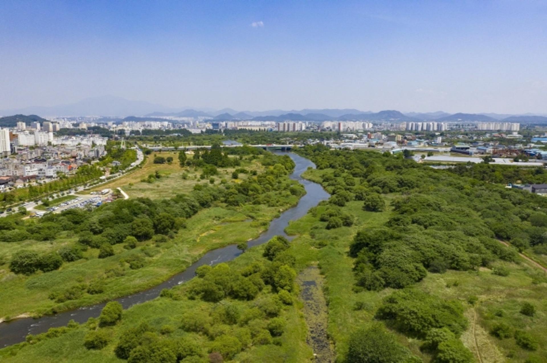 황룡강 장록습지, 국내 첫 도심 국가습지로 지정