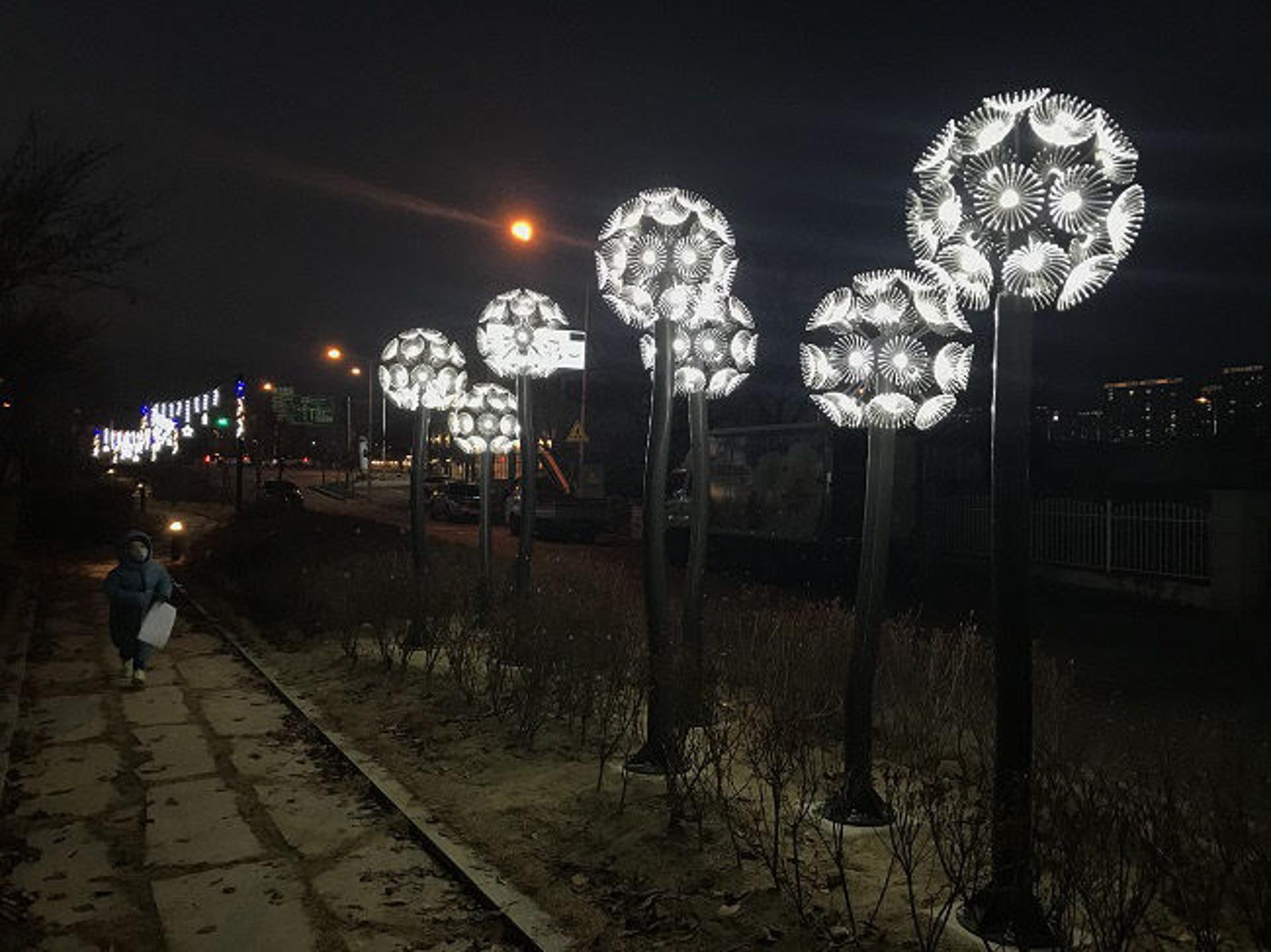 양주시, "위로와 힐링"… '장거리 벚꽃 도시숲' 경관조명 설치