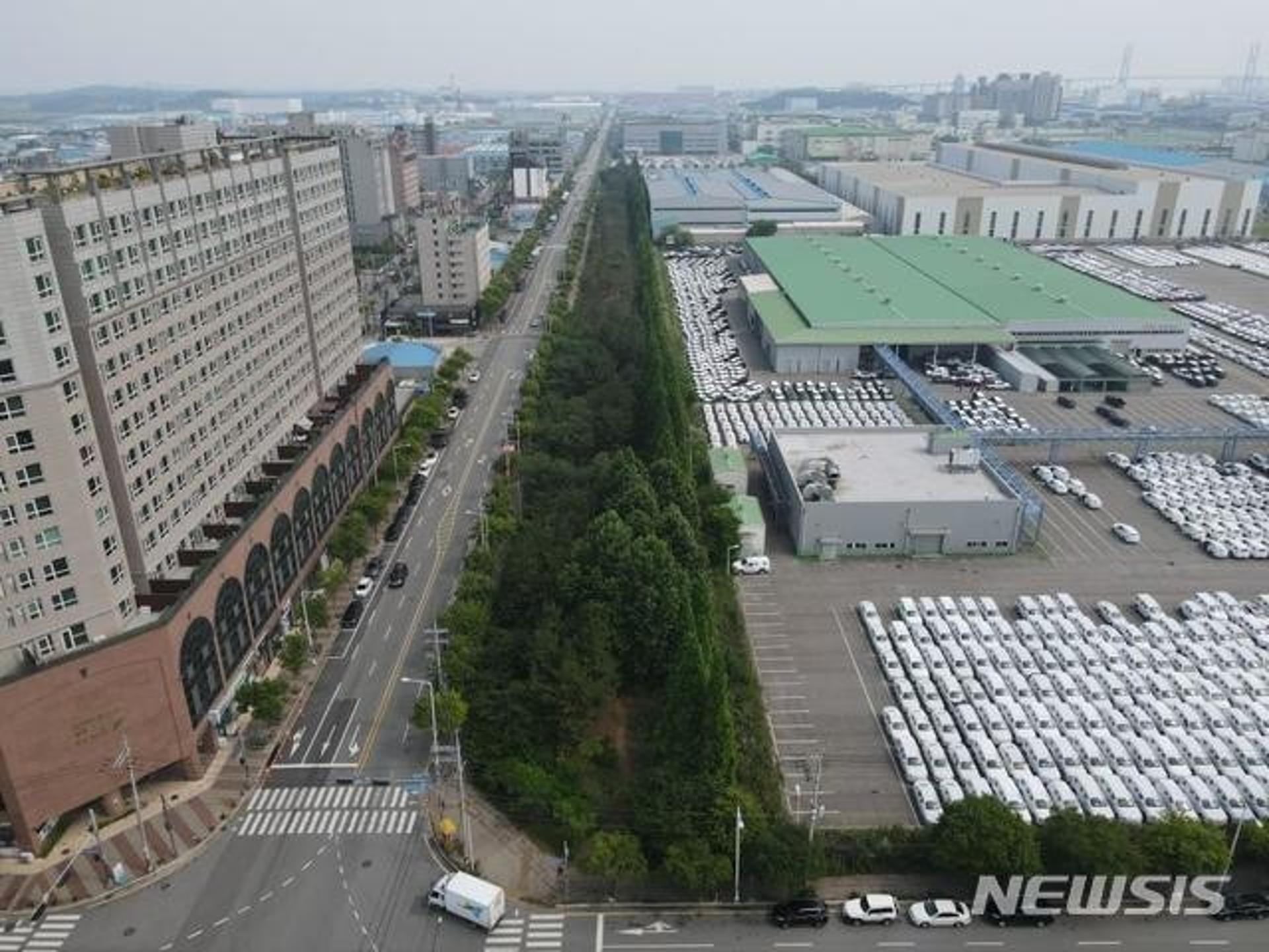 경기도, 올해 미세먼지 차단숲 7.4ha 조성… 도심지 미세먼지 저감