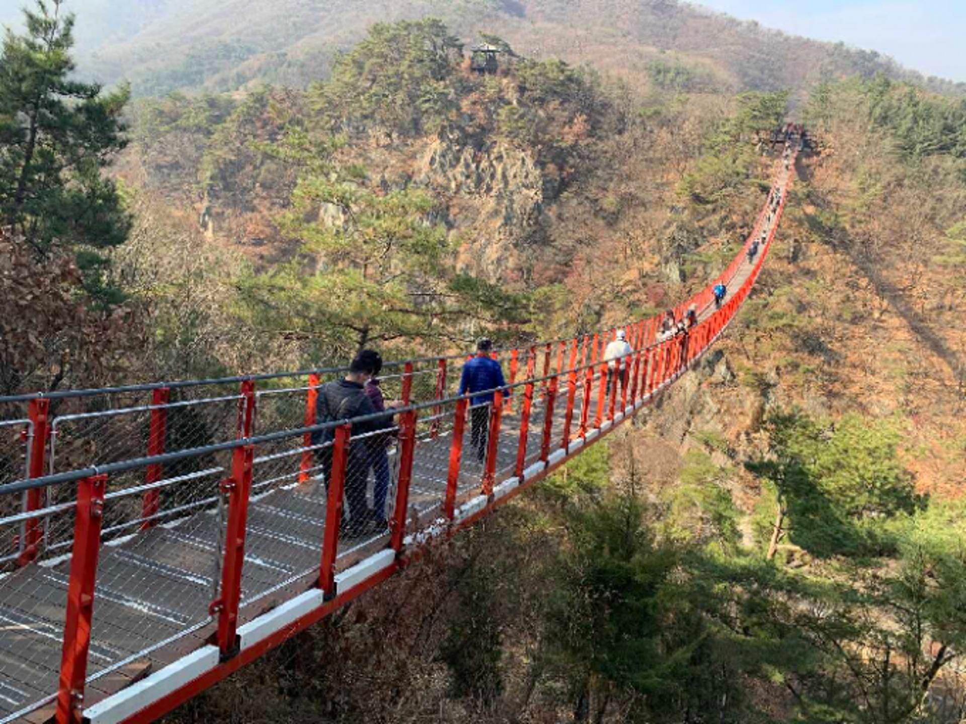 파주시, 파주DMZ 평화관광 운영중단·출렁다리 임시폐쇄