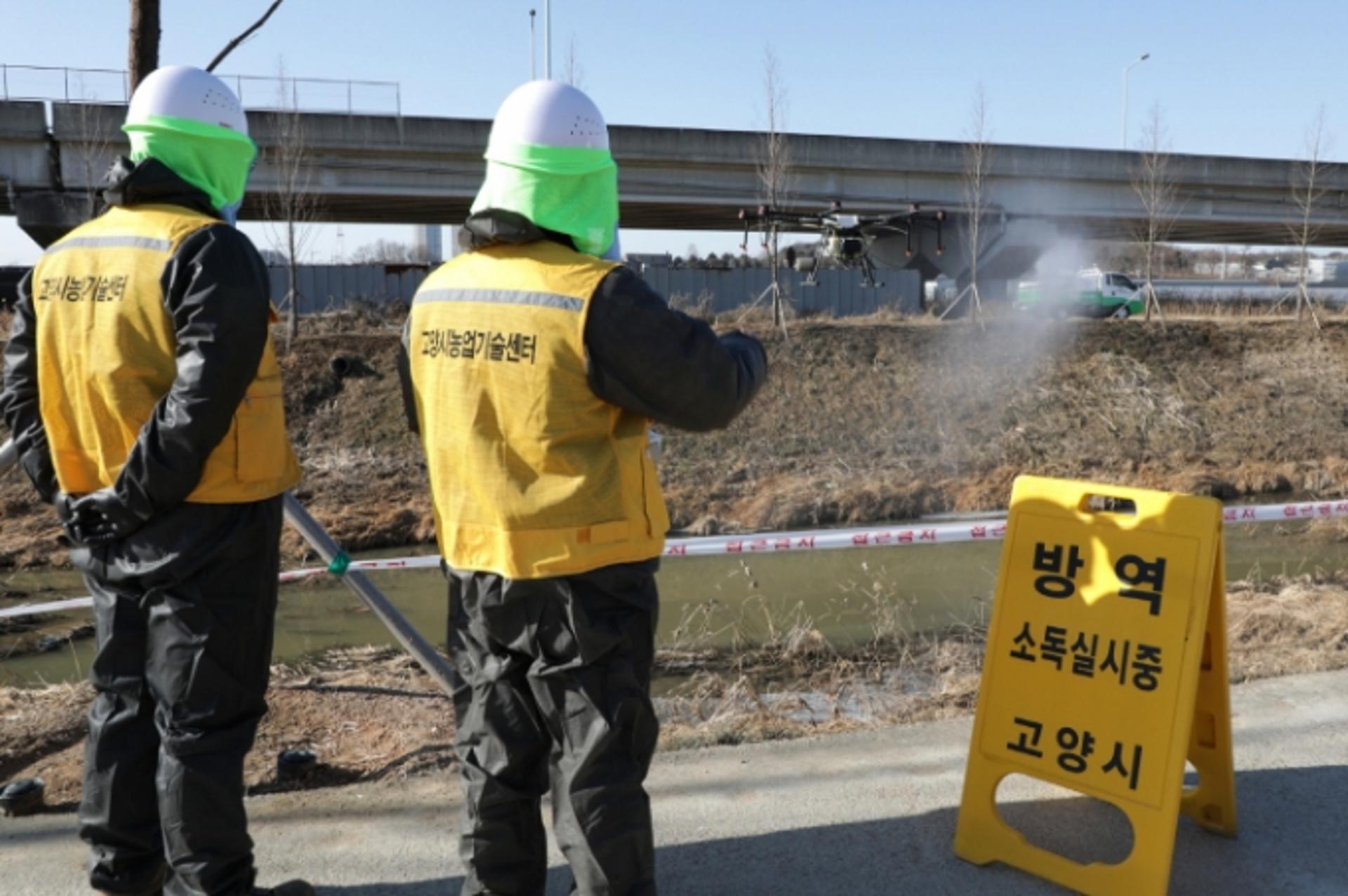 고양시,  AI 위험지역 방역에  최첨단 드론 띄운다