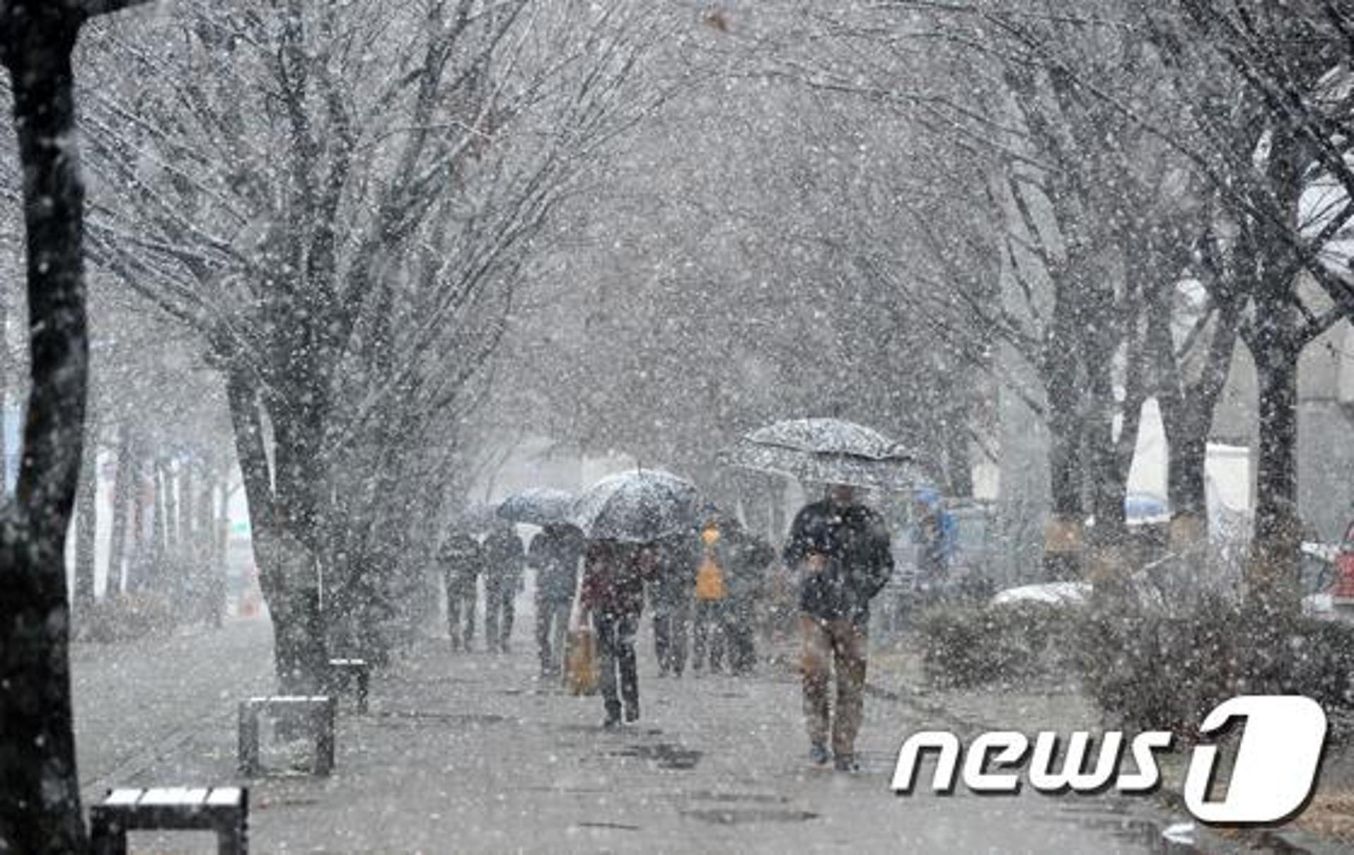 경기 14개 시군에 대설예비특보… 오후 5시부터 비상 1단계 돌입