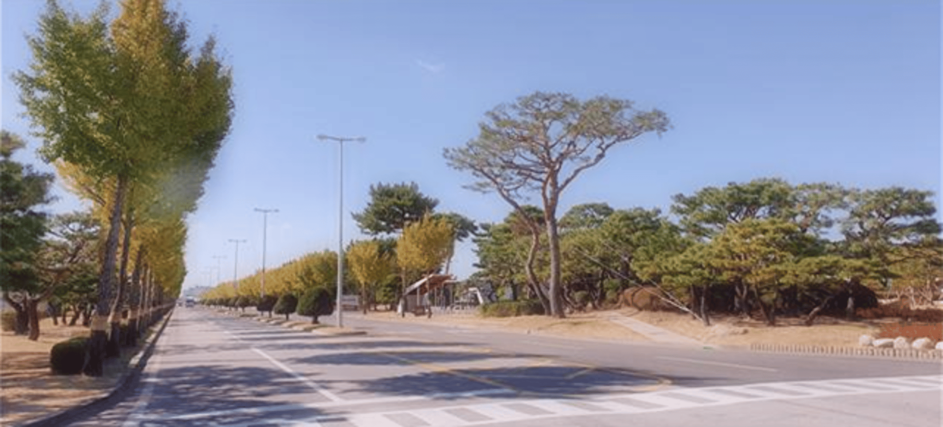 '경기도 숲속 공장 조성 사업', 지난해까지 목표치 294% 달성