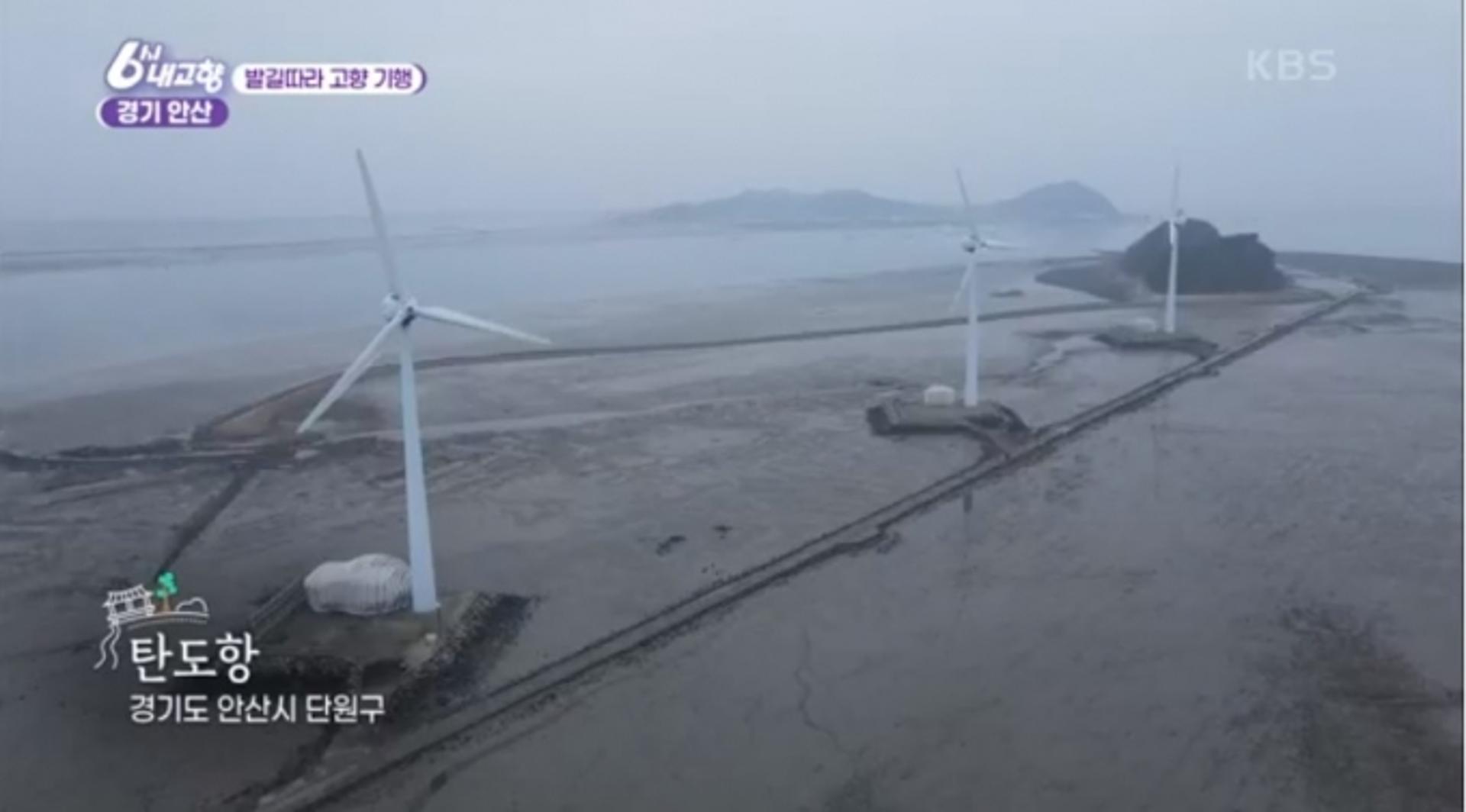 KBS '6시 내고향', 배우 임대호가 찾은 안산의 숨겨진 보물은?
